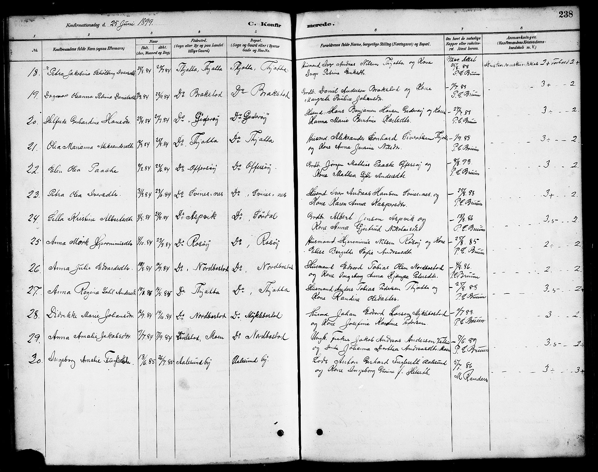 Ministerialprotokoller, klokkerbøker og fødselsregistre - Nordland, AV/SAT-A-1459/817/L0268: Parish register (copy) no. 817C03, 1884-1920, p. 238