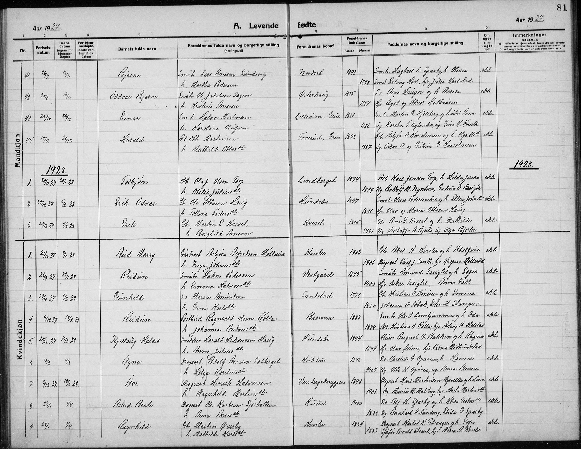 Hof prestekontor, SAH/PREST-038/H/Ha/Hab/L0002: Parish register (copy) no. 2, 1915-1934, p. 81