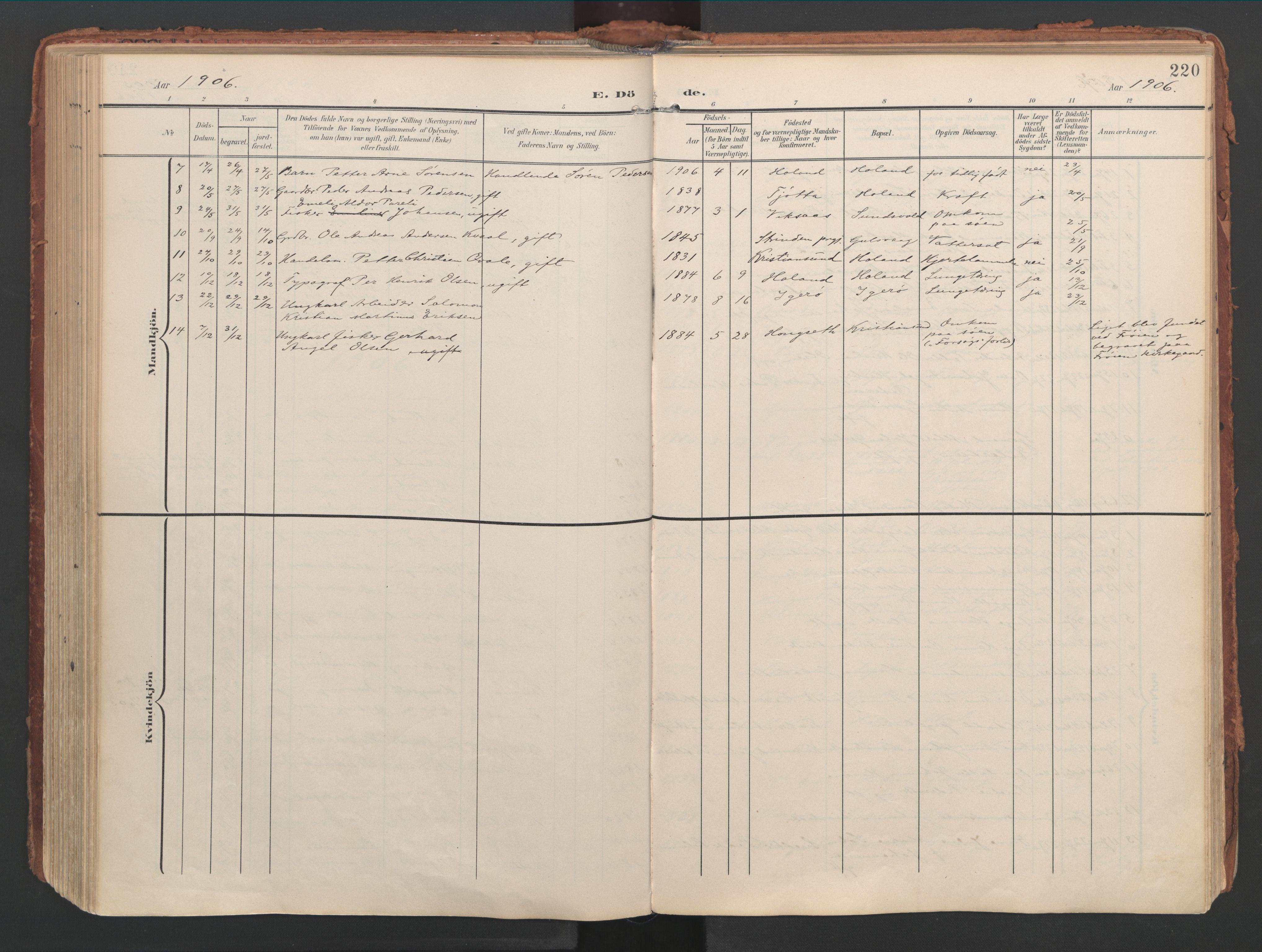 Ministerialprotokoller, klokkerbøker og fødselsregistre - Nordland, AV/SAT-A-1459/816/L0250: Parish register (official) no. 816A16, 1903-1923, p. 220