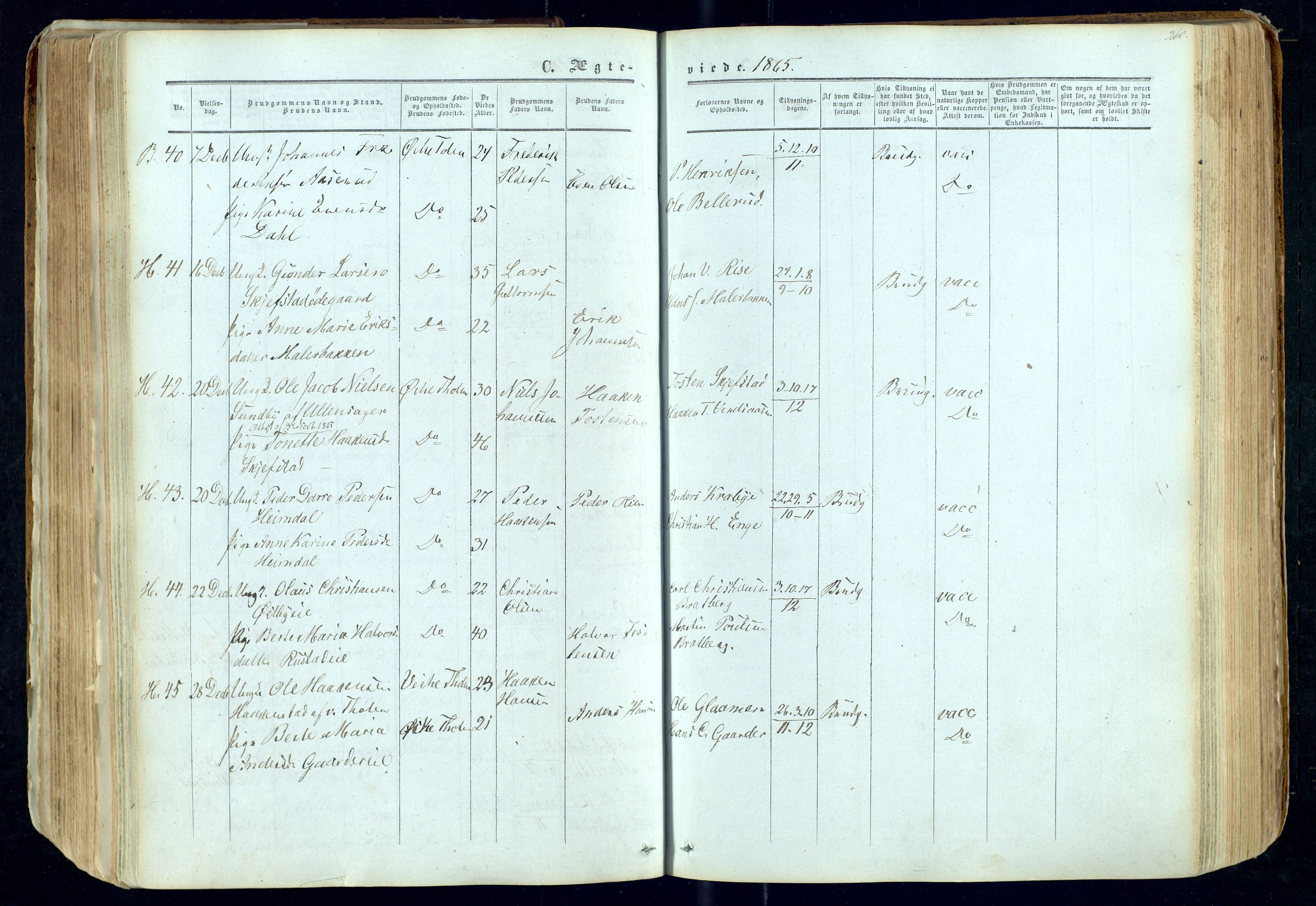 Østre Toten prestekontor, SAH/PREST-104/H/Ha/Haa/L0004: Parish register (official) no. 4, 1857-1865, p. 260