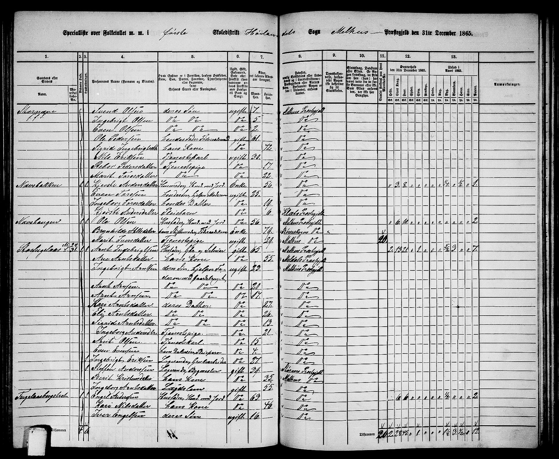 RA, 1865 census for Melhus, 1865, p. 175