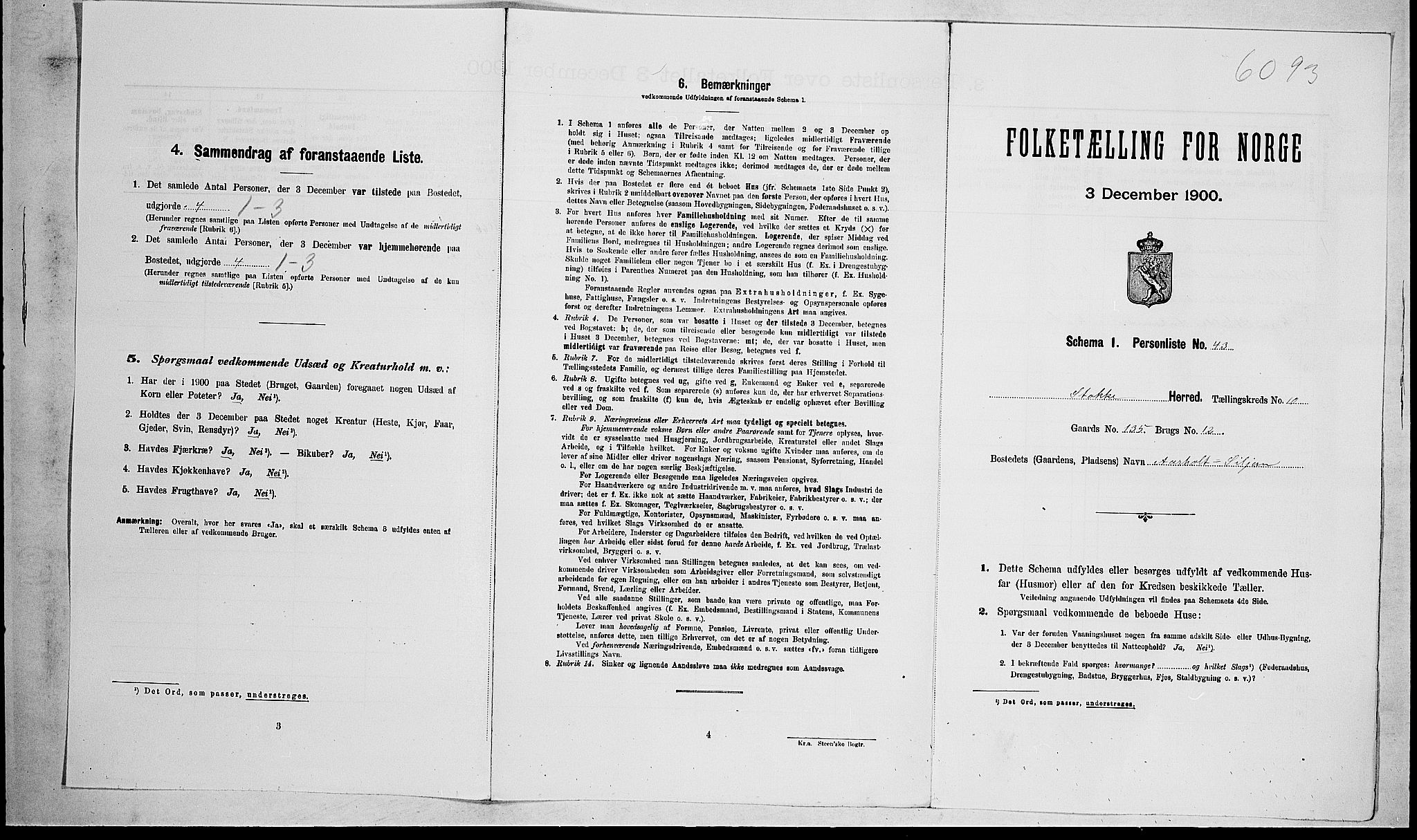 RA, 1900 census for Stokke, 1900, p. 1679
