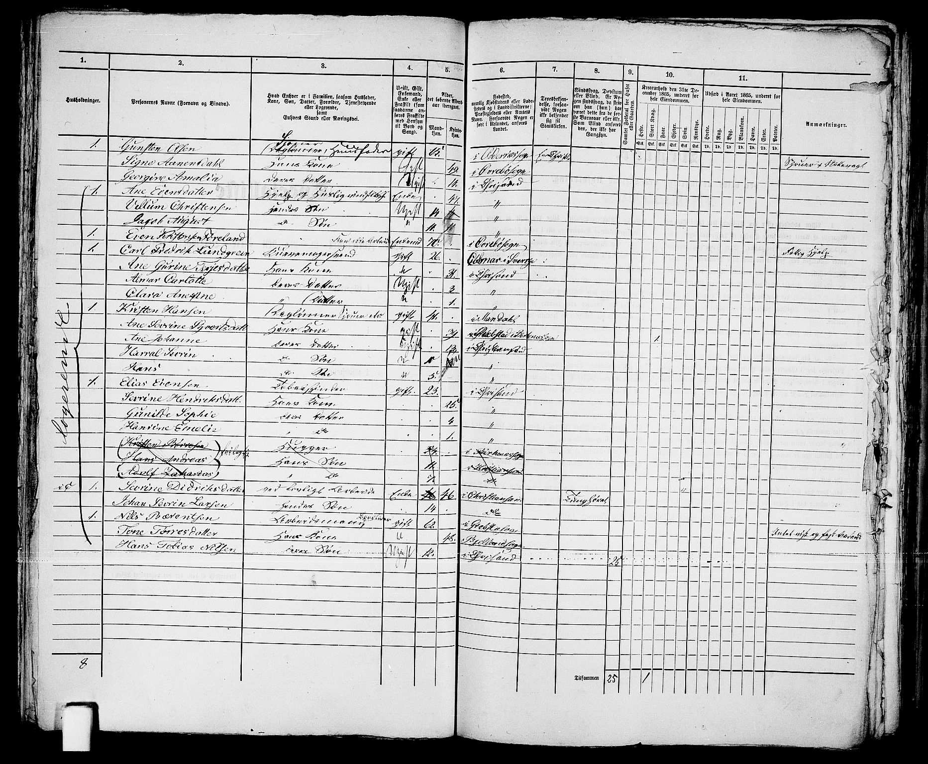 RA, 1865 census for Kristiansand, 1865, p. 1082