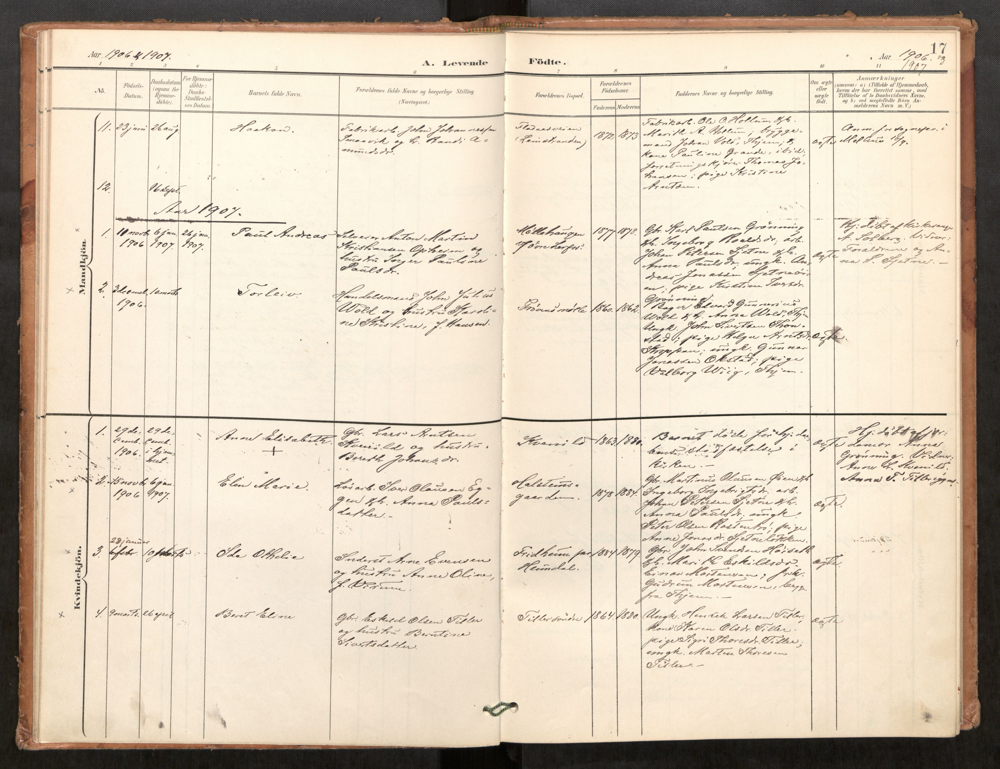 Klæbu sokneprestkontor, SAT/A-1112: Parish register (official) no. 2, 1900-1916, p. 17