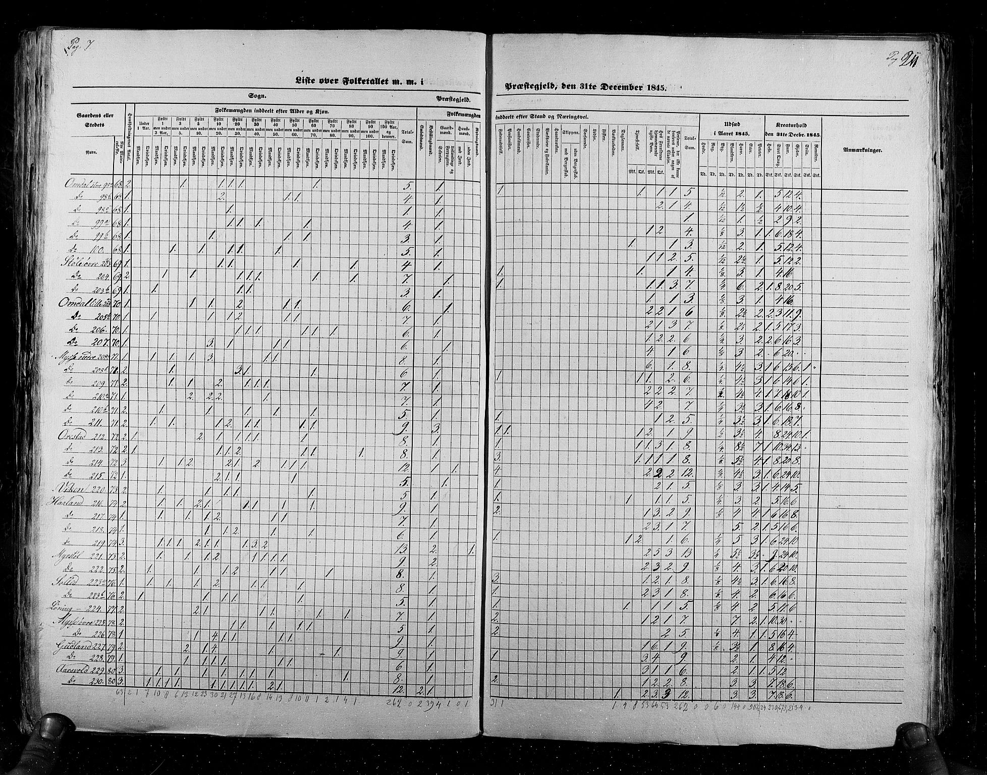 RA, Census 1845, vol. 6: Lister og Mandal amt og Stavanger amt, 1845, p. 211