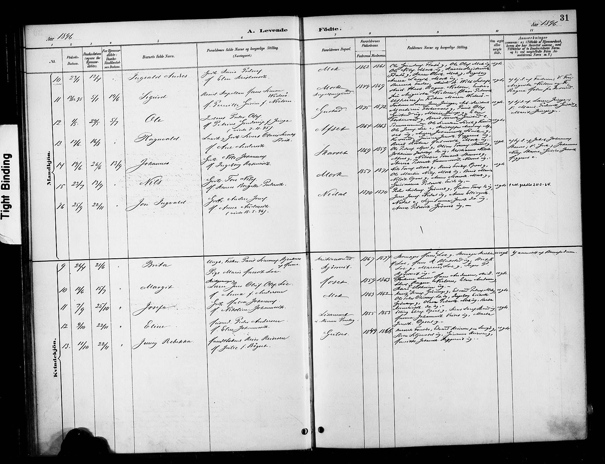Ministerialprotokoller, klokkerbøker og fødselsregistre - Møre og Romsdal, SAT/A-1454/568/L0809: Parish register (official) no. 568A13, 1884-1900, p. 31