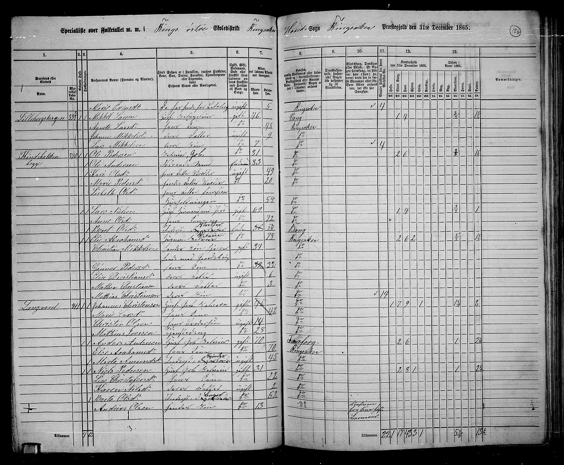 RA, 1865 census for Ringsaker, 1865, p. 374