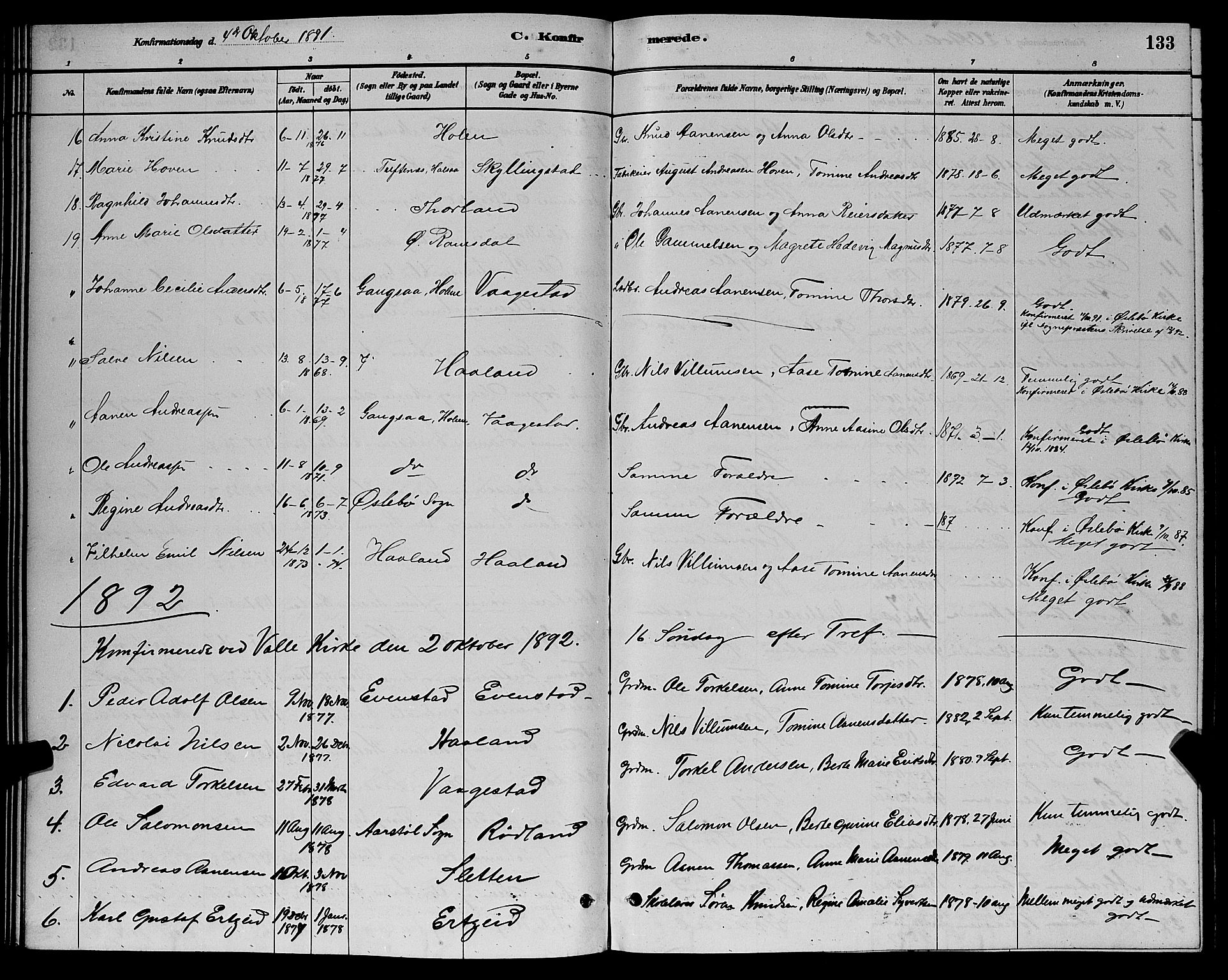 Sør-Audnedal sokneprestkontor, AV/SAK-1111-0039/F/Fb/Fbb/L0005: Parish register (copy) no. B 5, 1880-1892, p. 133