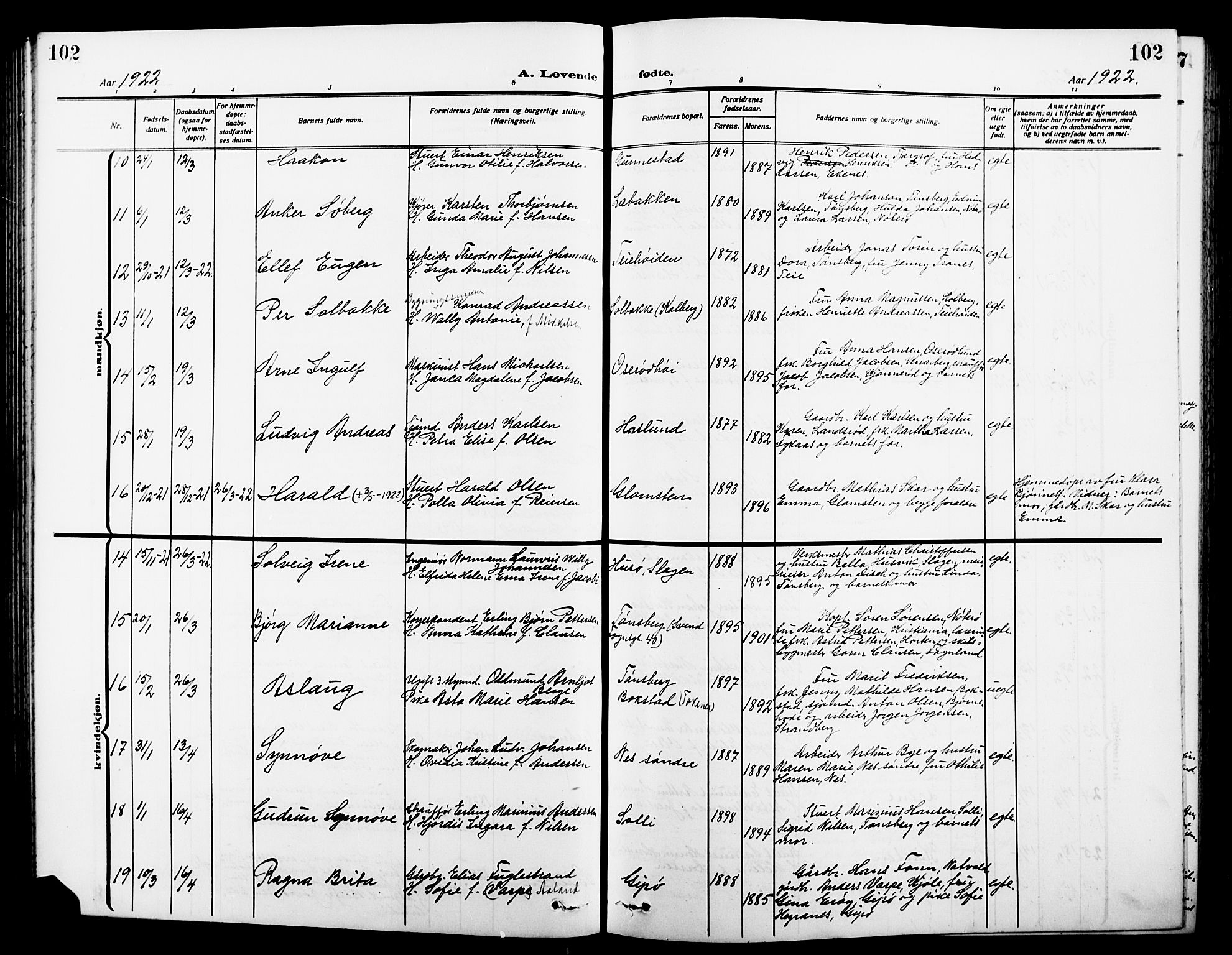 Nøtterøy kirkebøker, AV/SAKO-A-354/G/Ga/L0005: Parish register (copy) no. I 5, 1910-1924, p. 102