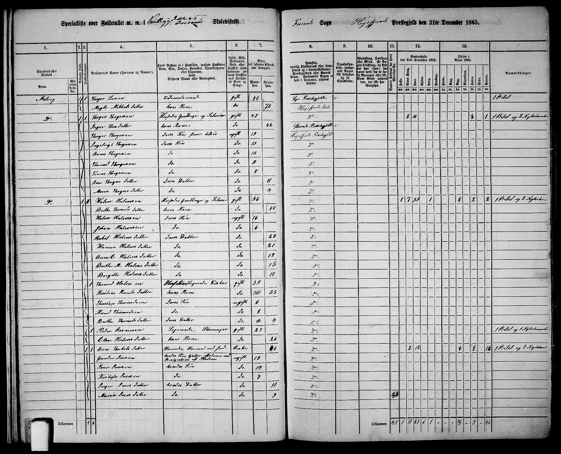 RA, 1865 census for Høgsfjord, 1865, p. 12