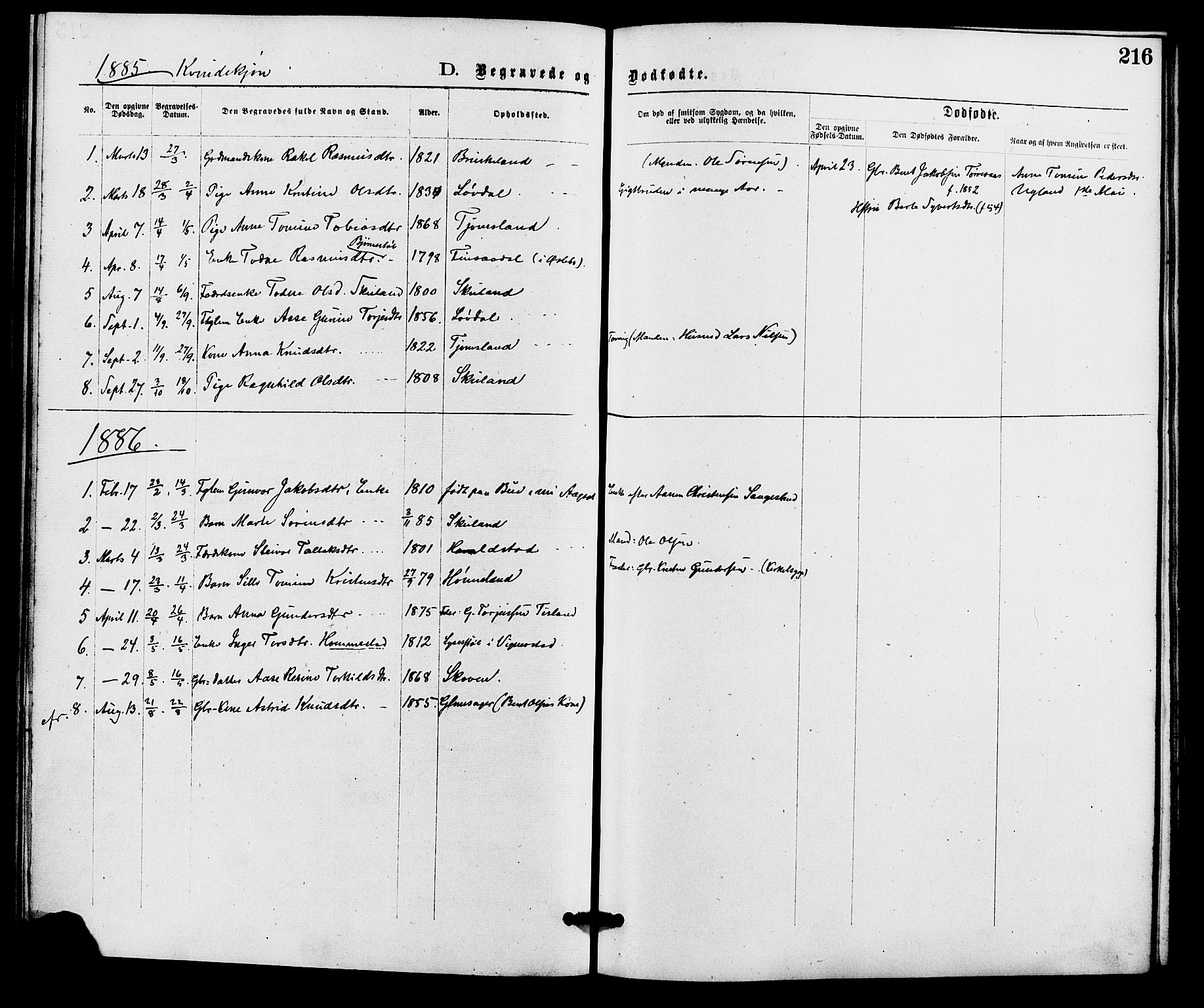 Holum sokneprestkontor, AV/SAK-1111-0022/F/Fa/Fab/L0006: Parish register (official) no. A 6, 1875-1886, p. 216