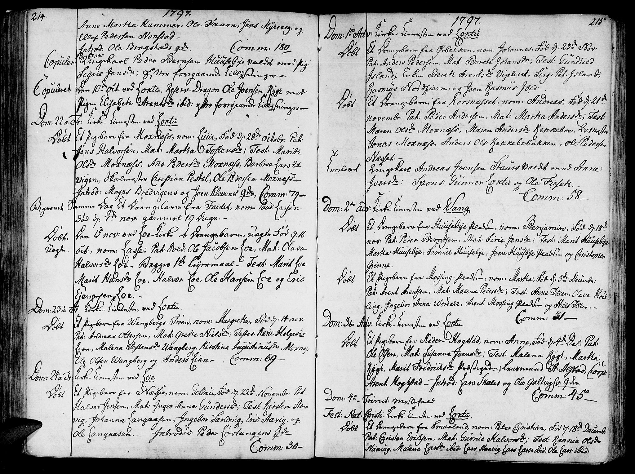 Ministerialprotokoller, klokkerbøker og fødselsregistre - Nord-Trøndelag, SAT/A-1458/713/L0110: Parish register (official) no. 713A02, 1778-1811, p. 214-215