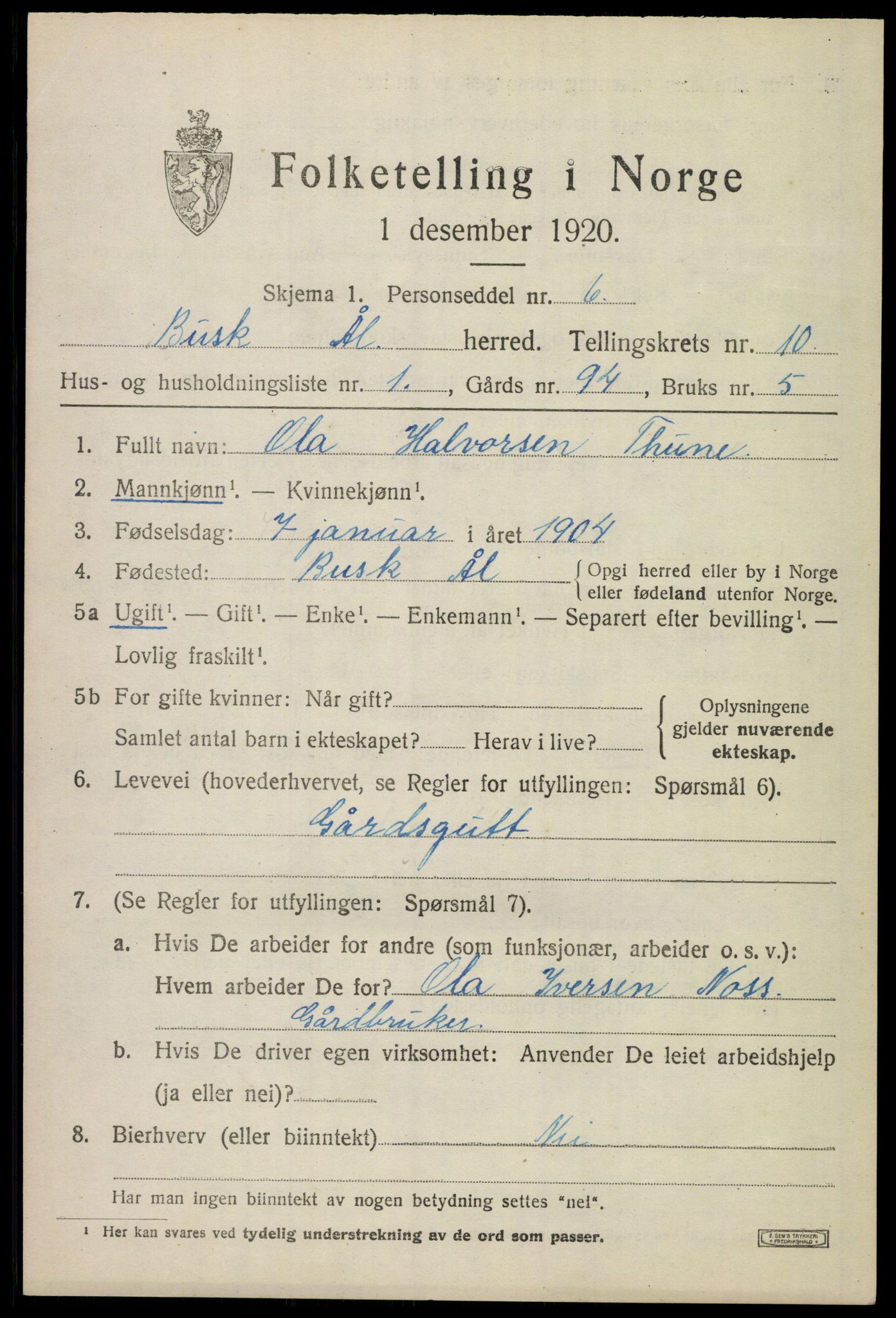 SAKO, 1920 census for Ål, 1920, p. 5956