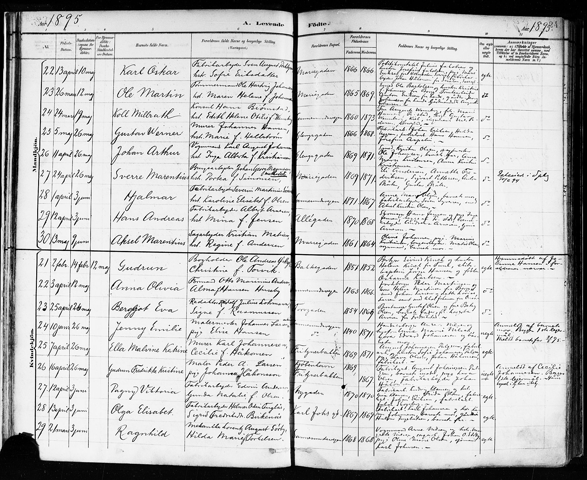 Sarpsborg prestekontor Kirkebøker, SAO/A-2006/F/Fa/L0004: Parish register (official) no. 4, 1892-1899, p. 24