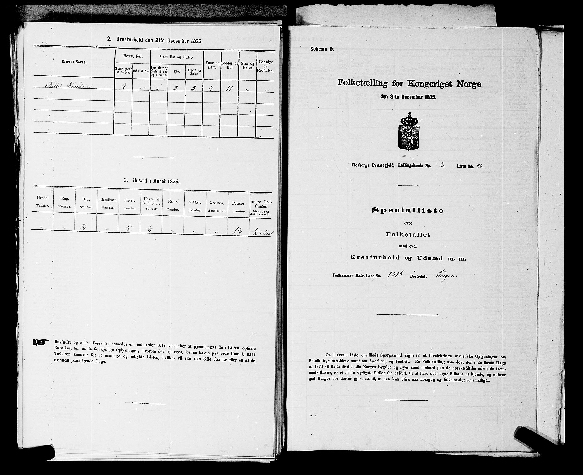 SAKO, 1875 census for 0631P Flesberg, 1875, p. 452