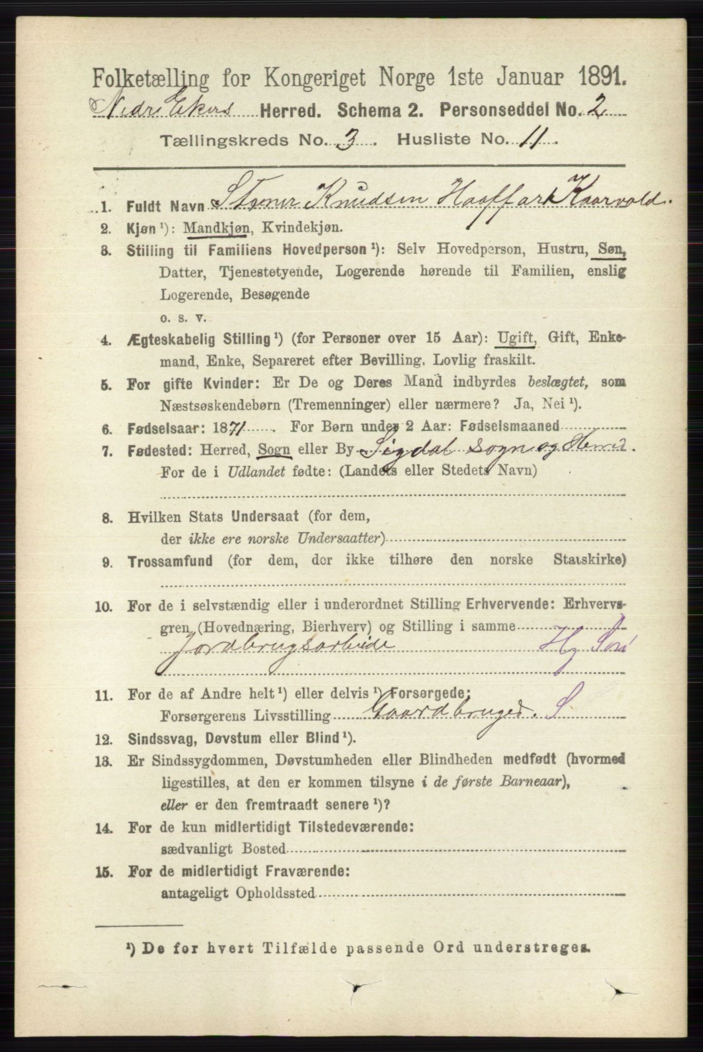 RA, 1891 census for 0625 Nedre Eiker, 1891, p. 1243
