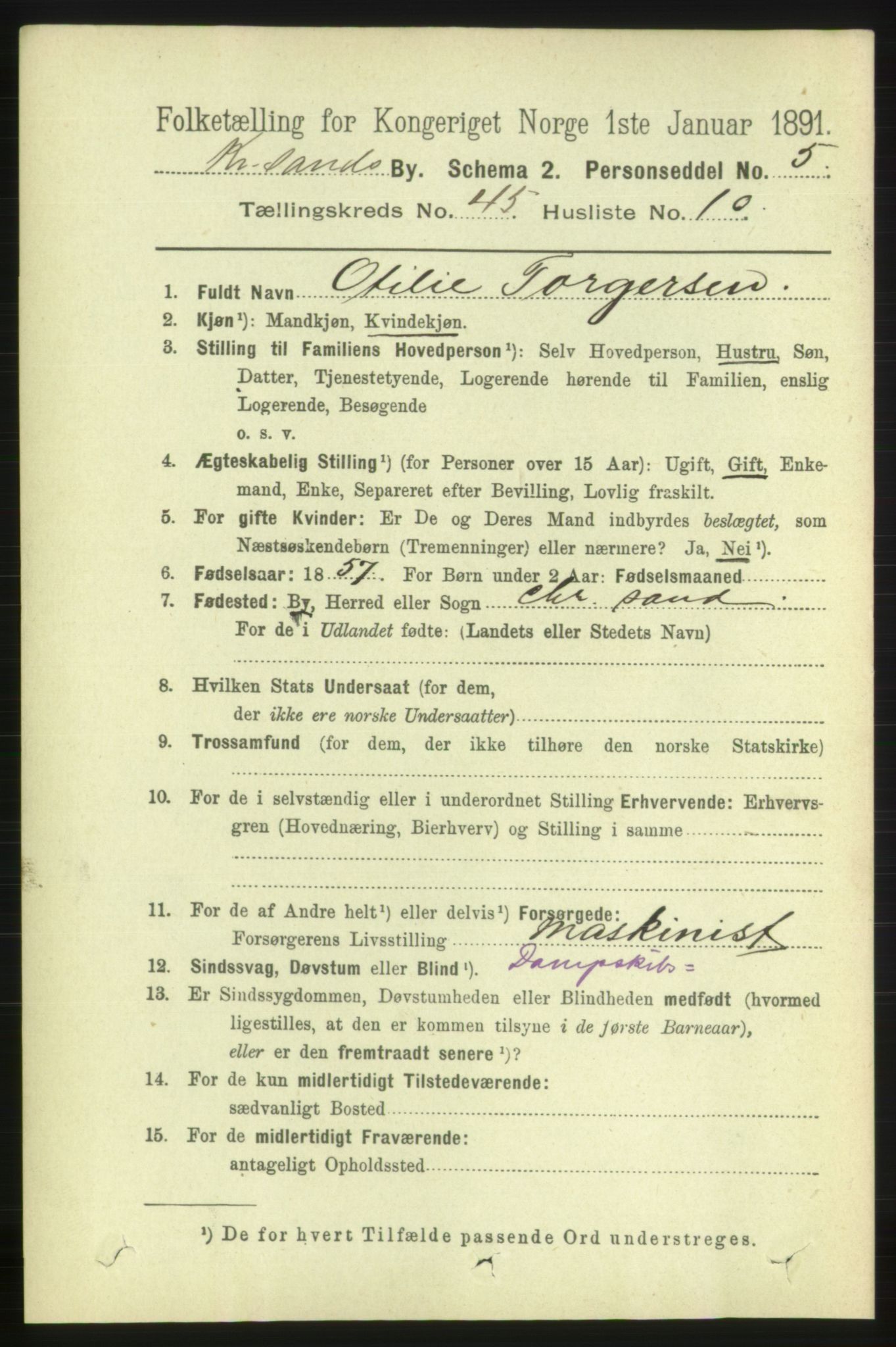 RA, 1891 census for 1001 Kristiansand, 1891, p. 13993