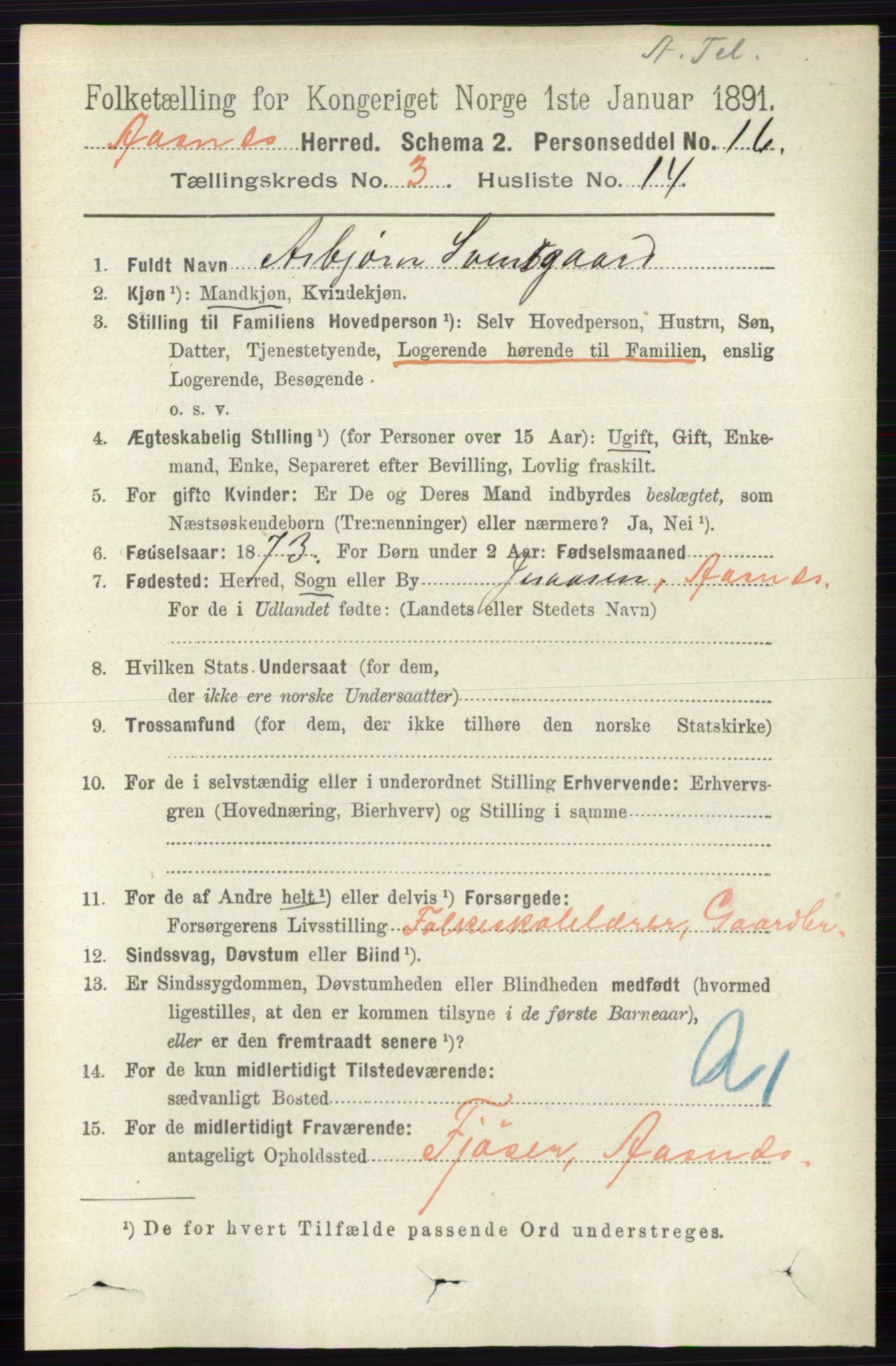 RA, 1891 census for 0425 Åsnes, 1891, p. 1177