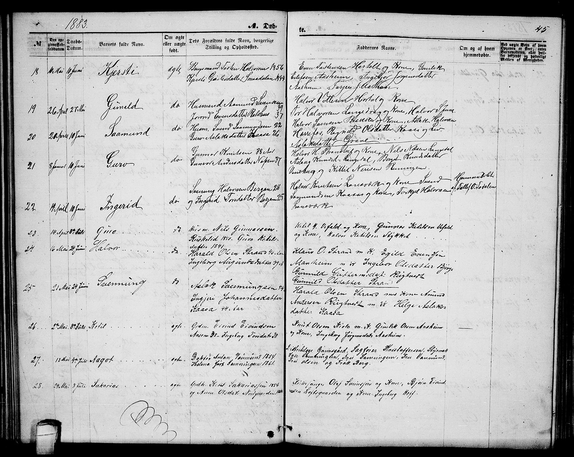 Seljord kirkebøker, AV/SAKO-A-20/G/Ga/L0004: Parish register (copy) no. I 4, 1873-1886, p. 45