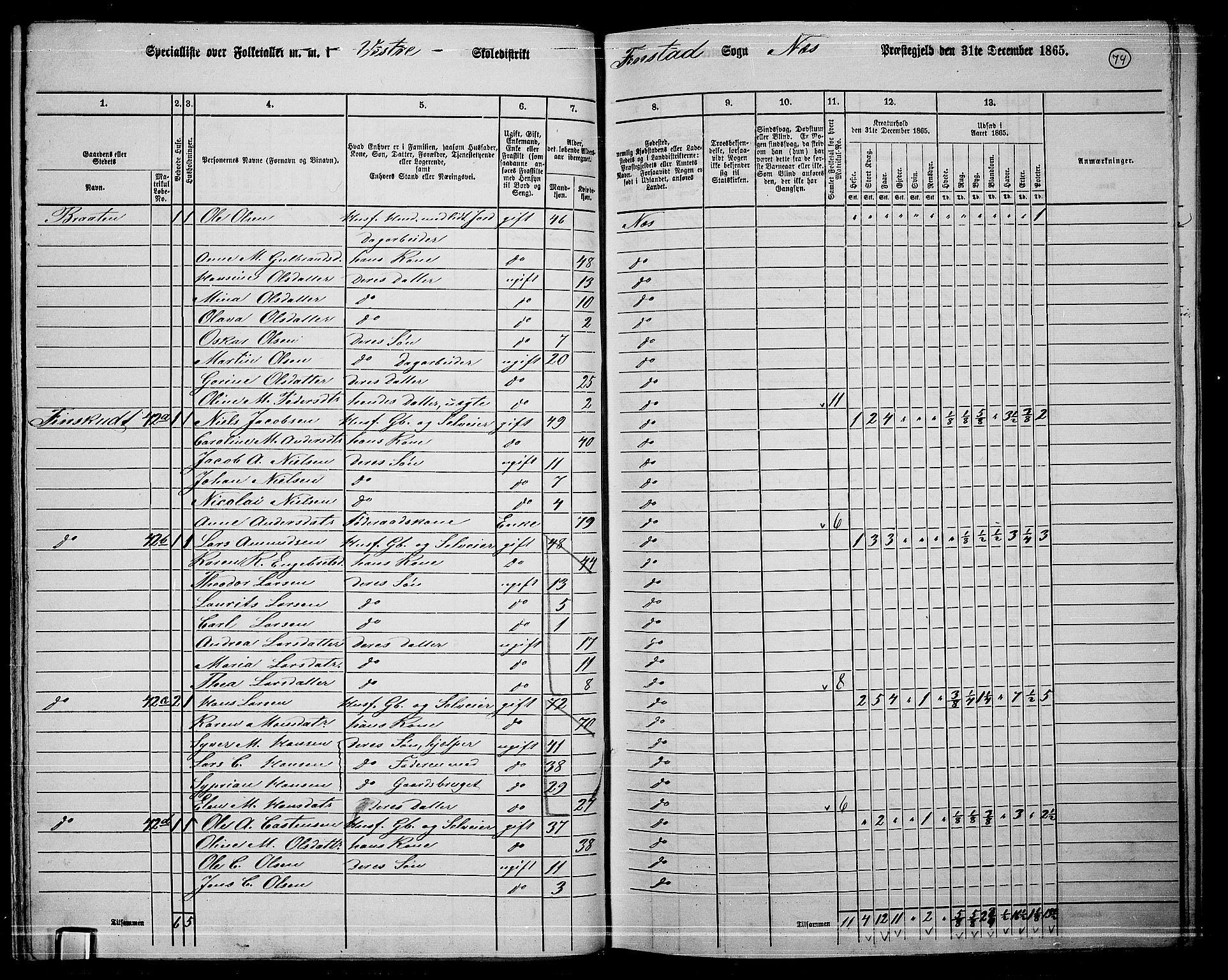 RA, 1865 census for Nes, 1865, p. 67