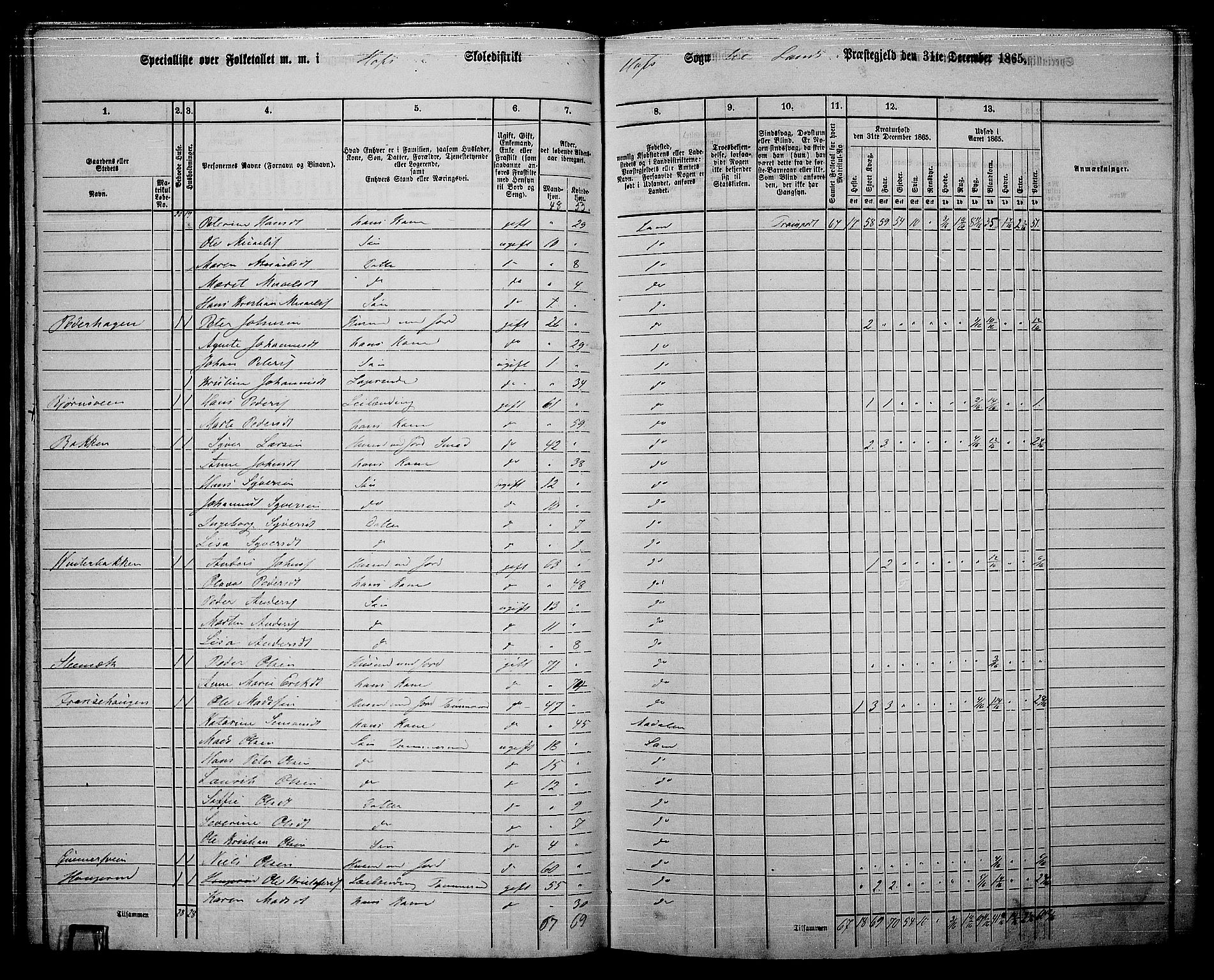 RA, 1865 census for Land, 1865, p. 320