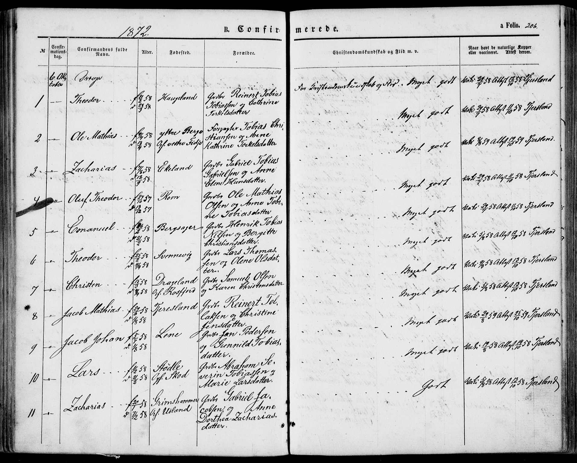 Lyngdal sokneprestkontor, SAK/1111-0029/F/Fa/Fac/L0010: Parish register (official) no. A 10, 1865-1878, p. 206