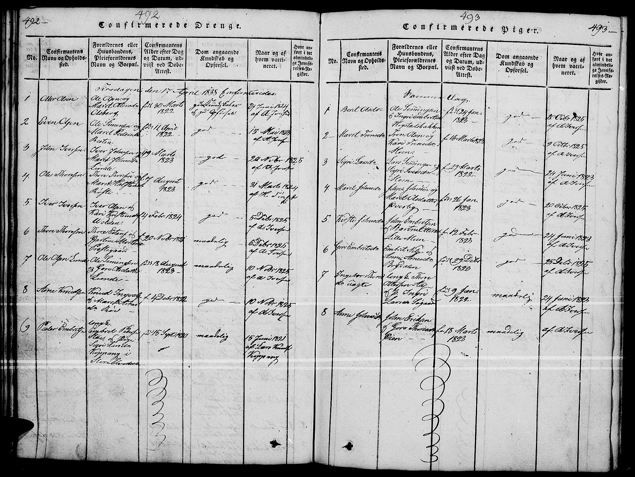 Tynset prestekontor, SAH/PREST-058/H/Ha/Hab/L0004: Parish register (copy) no. 4, 1814-1879, p. 492-493