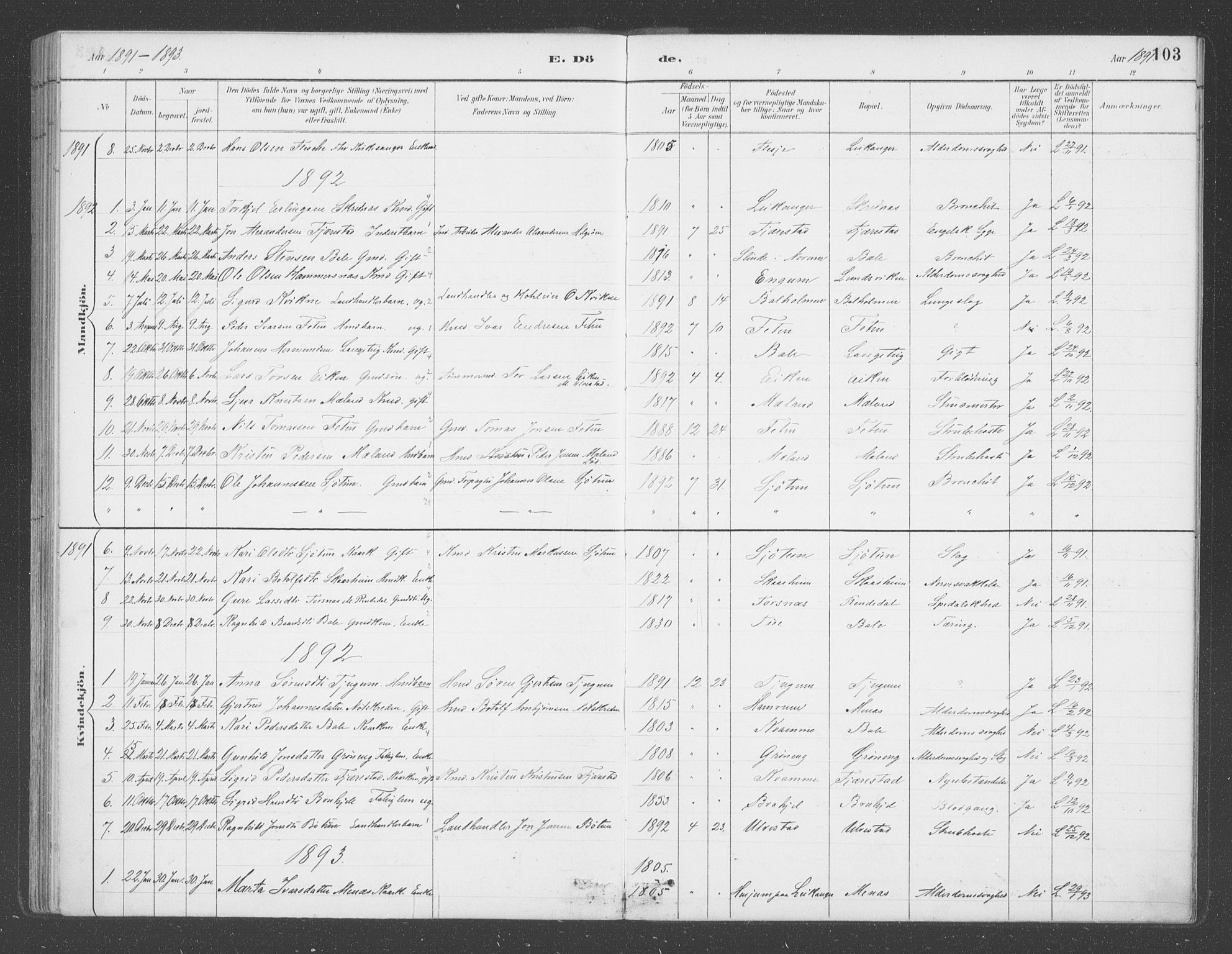 Balestrand sokneprestembete, SAB/A-79601/H/Haa/Haab/L0001: Parish register (official) no. B  1, 1889-1910, p. 103
