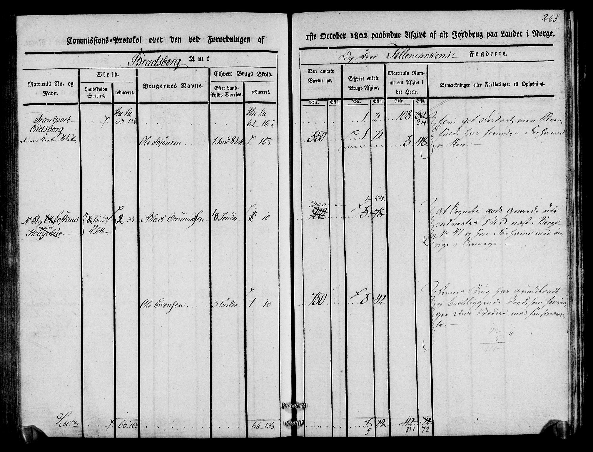 Rentekammeret inntil 1814, Realistisk ordnet avdeling, AV/RA-EA-4070/N/Ne/Nea/L0075: Øvre Telemarken fogderi. Kommisjonsprotokoll for fogderiets vestre del - Kviteseid, Vinje, Moland [):Fyresdal] og Lårdal prestegjeld., 1803, p. 267