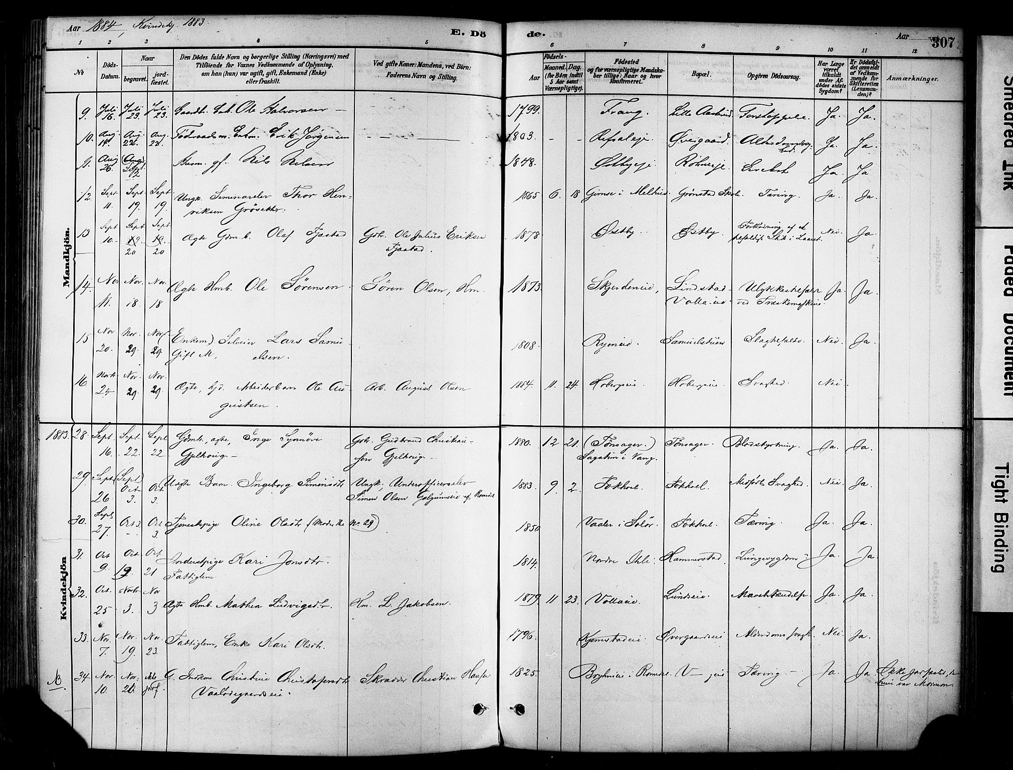 Stange prestekontor, AV/SAH-PREST-002/K/L0017: Parish register (official) no. 17, 1880-1893, p. 307