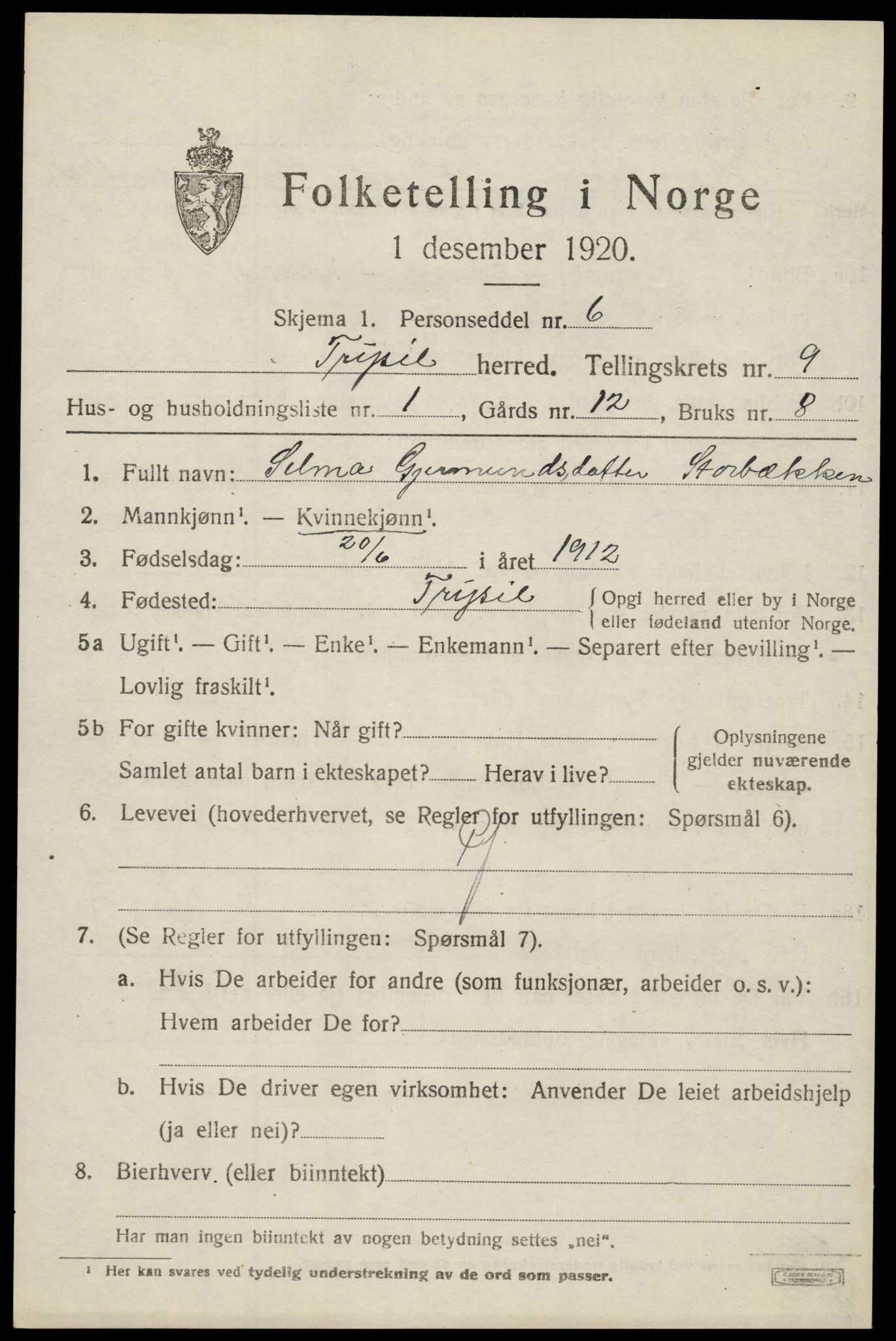 SAH, 1920 census for Trysil, 1920, p. 6565