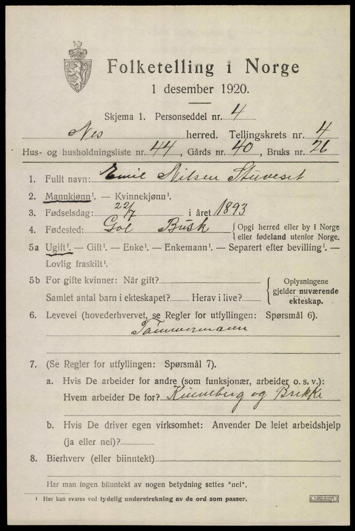 SAKO, 1920 census for Nes (Buskerud), 1920, p. 2494