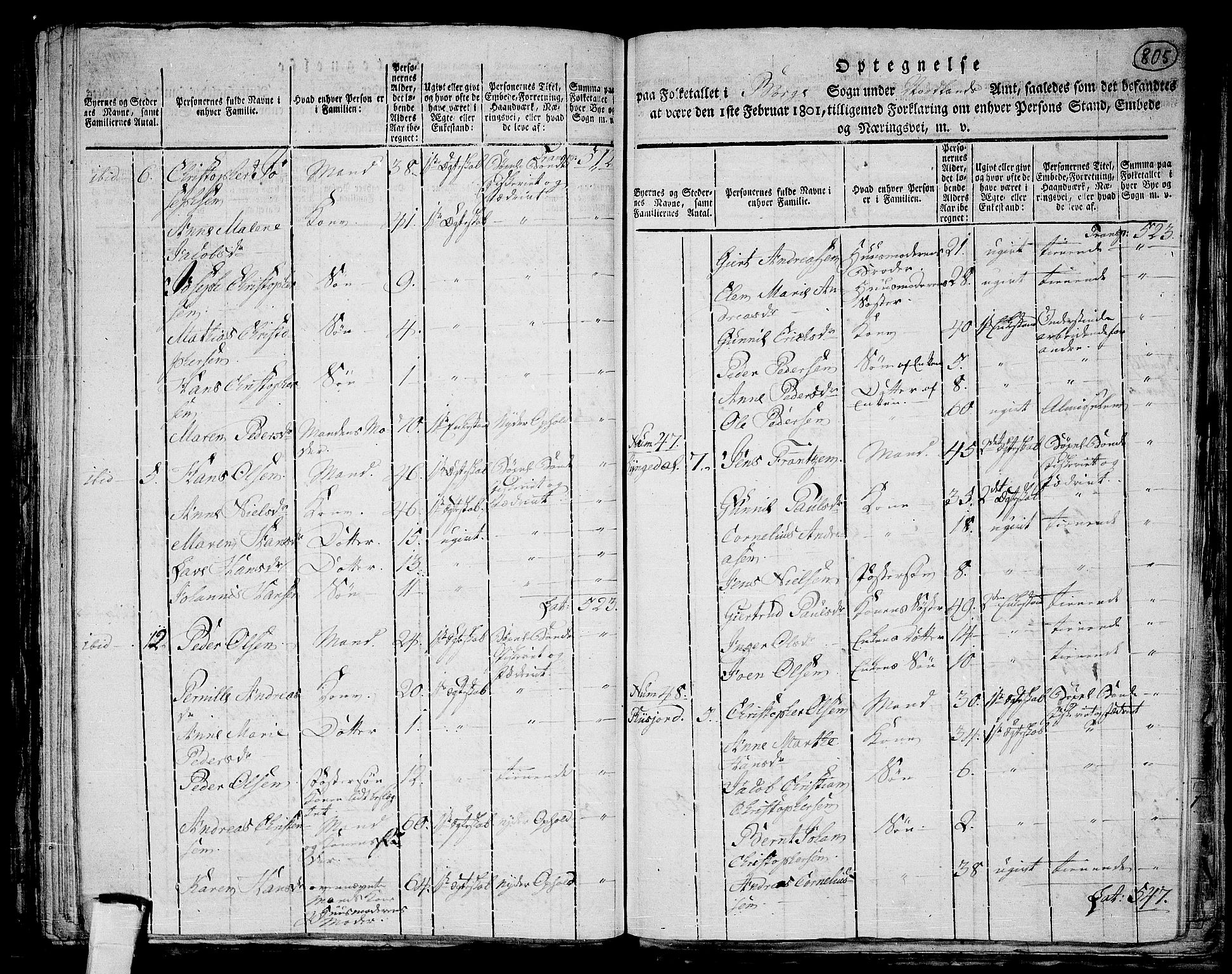 RA, 1801 census for 1862P Borge, 1801, p. 804b-805a