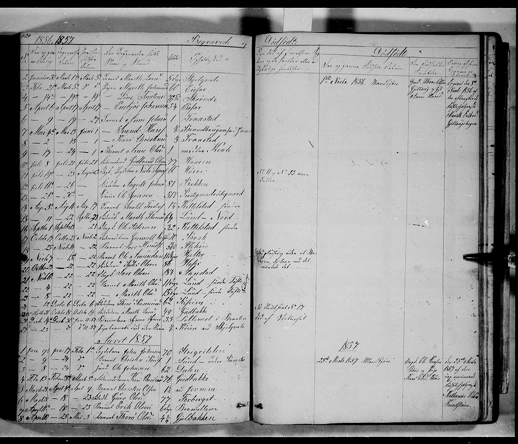 Lom prestekontor, SAH/PREST-070/L/L0004: Parish register (copy) no. 4, 1845-1864, p. 424-425