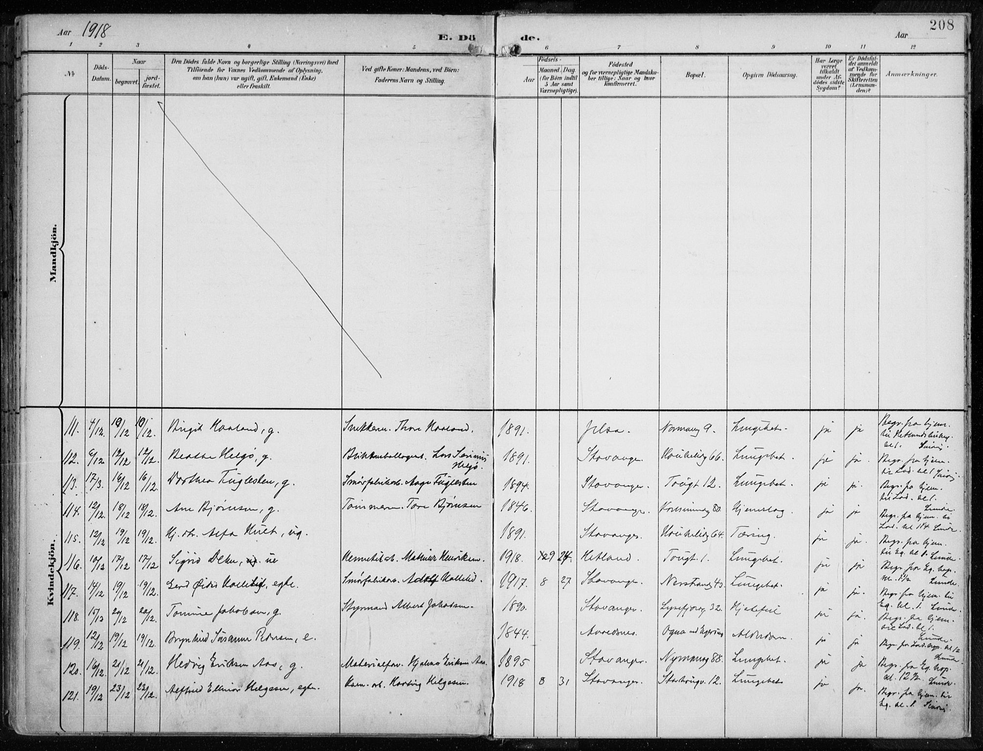 St. Johannes sokneprestkontor, SAST/A-101814/001/30/30BA/L0005: Parish register (official) no. A 5, 1898-1919, p. 208