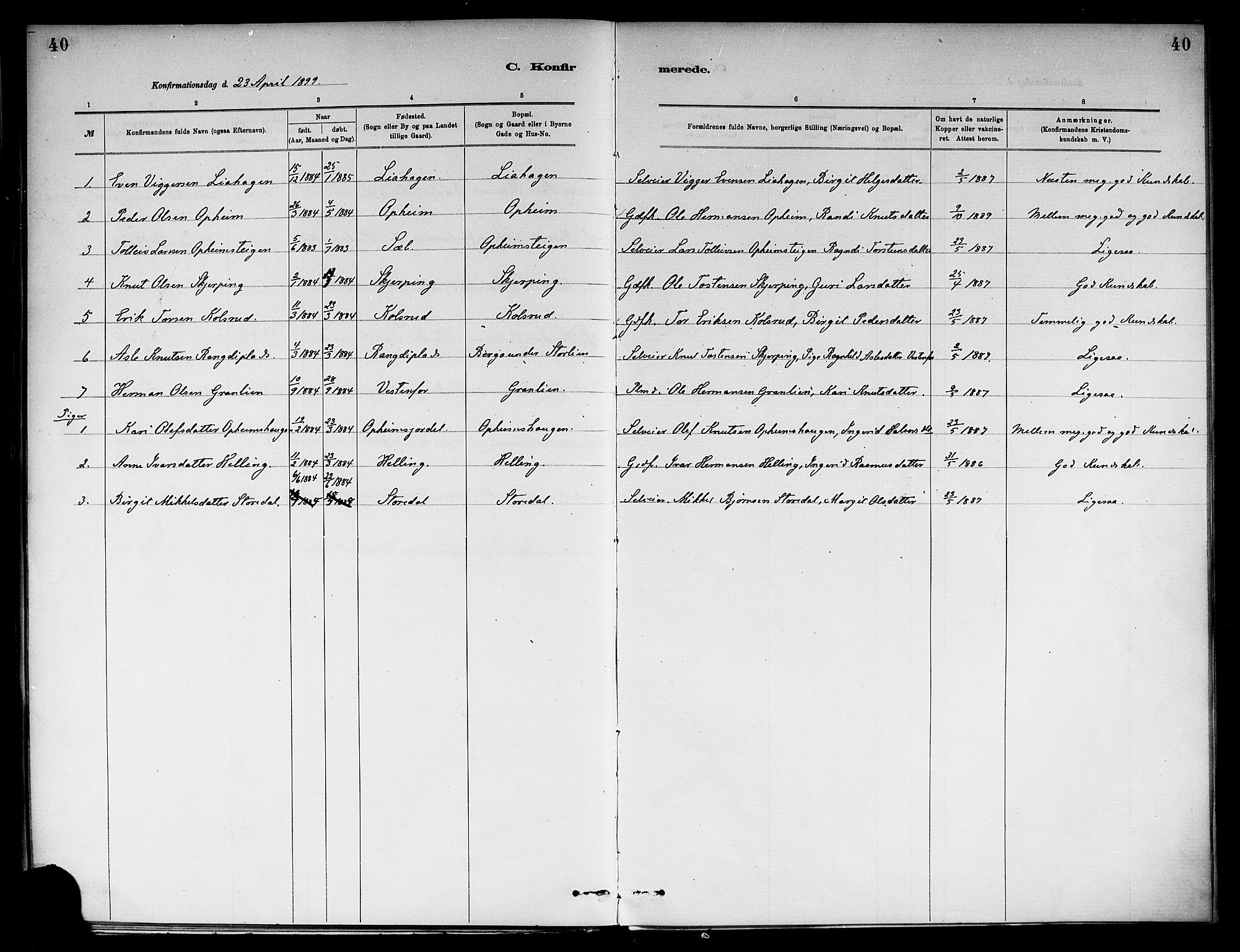 Ål kirkebøker, SAKO/A-249/F/Fb/L0001: Parish register (official) no. II 1, 1882-1899, p. 40