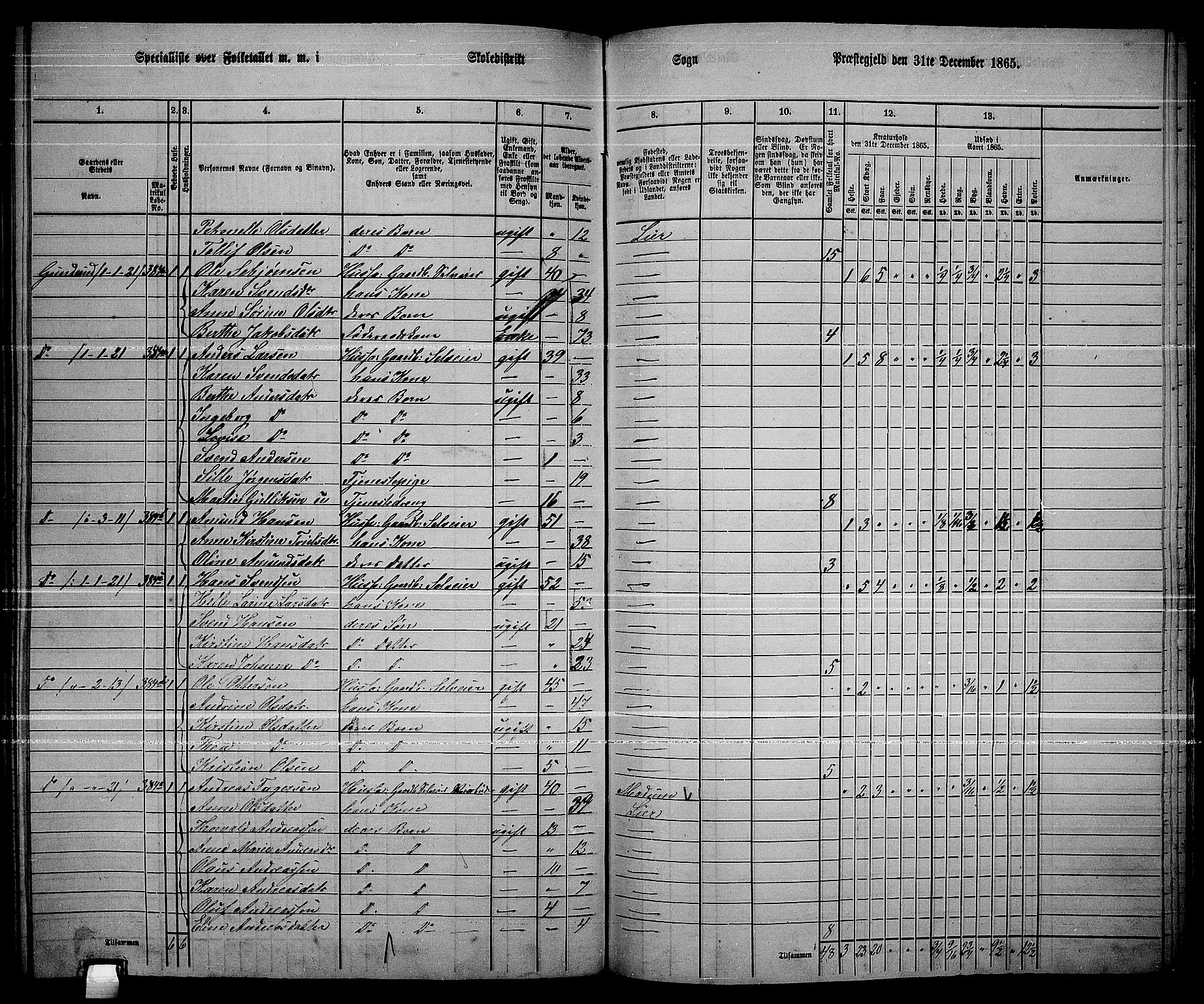 RA, 1865 census for Lier, 1865, p. 213