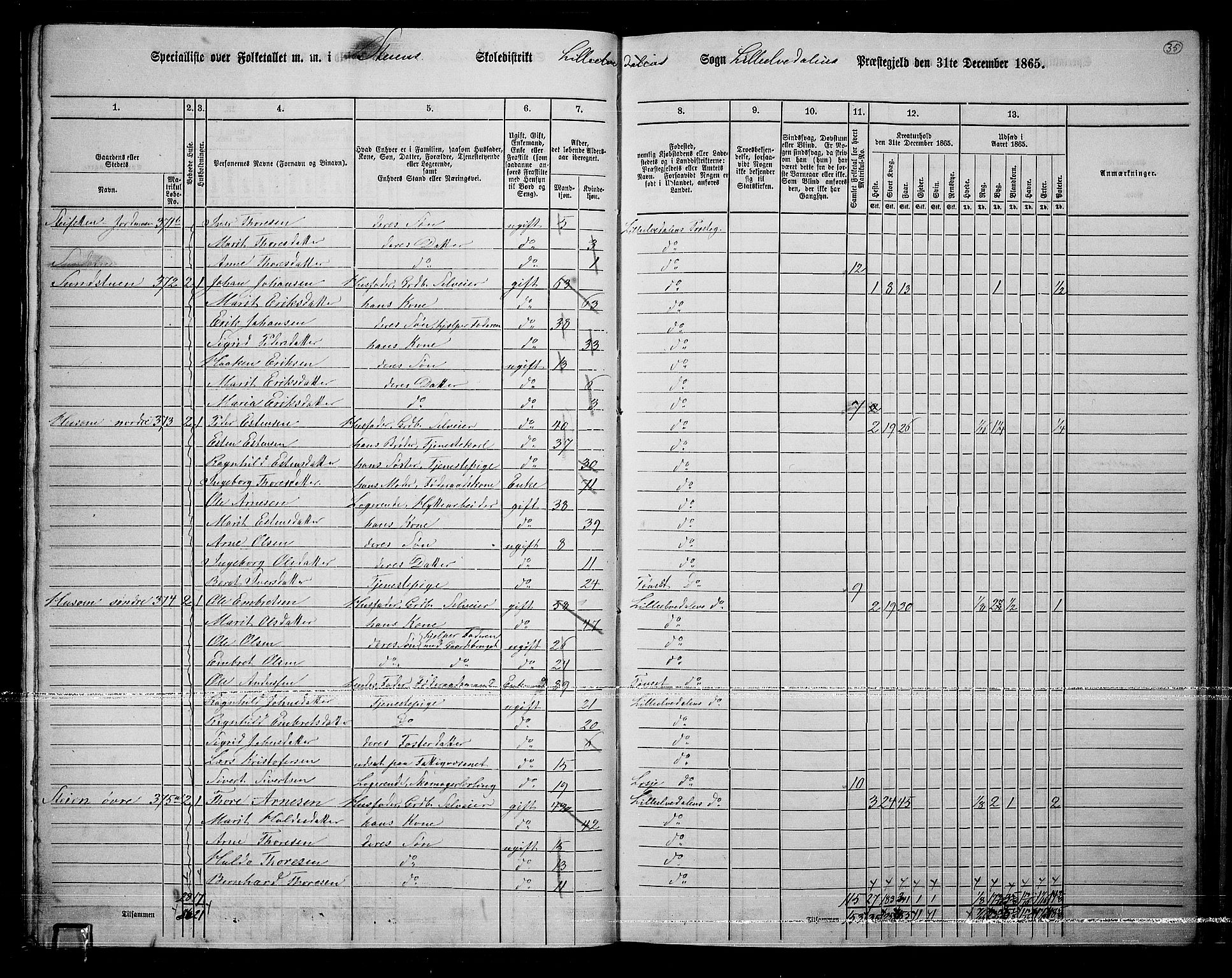 RA, 1865 census for Lille Elvedalen, 1865, p. 31