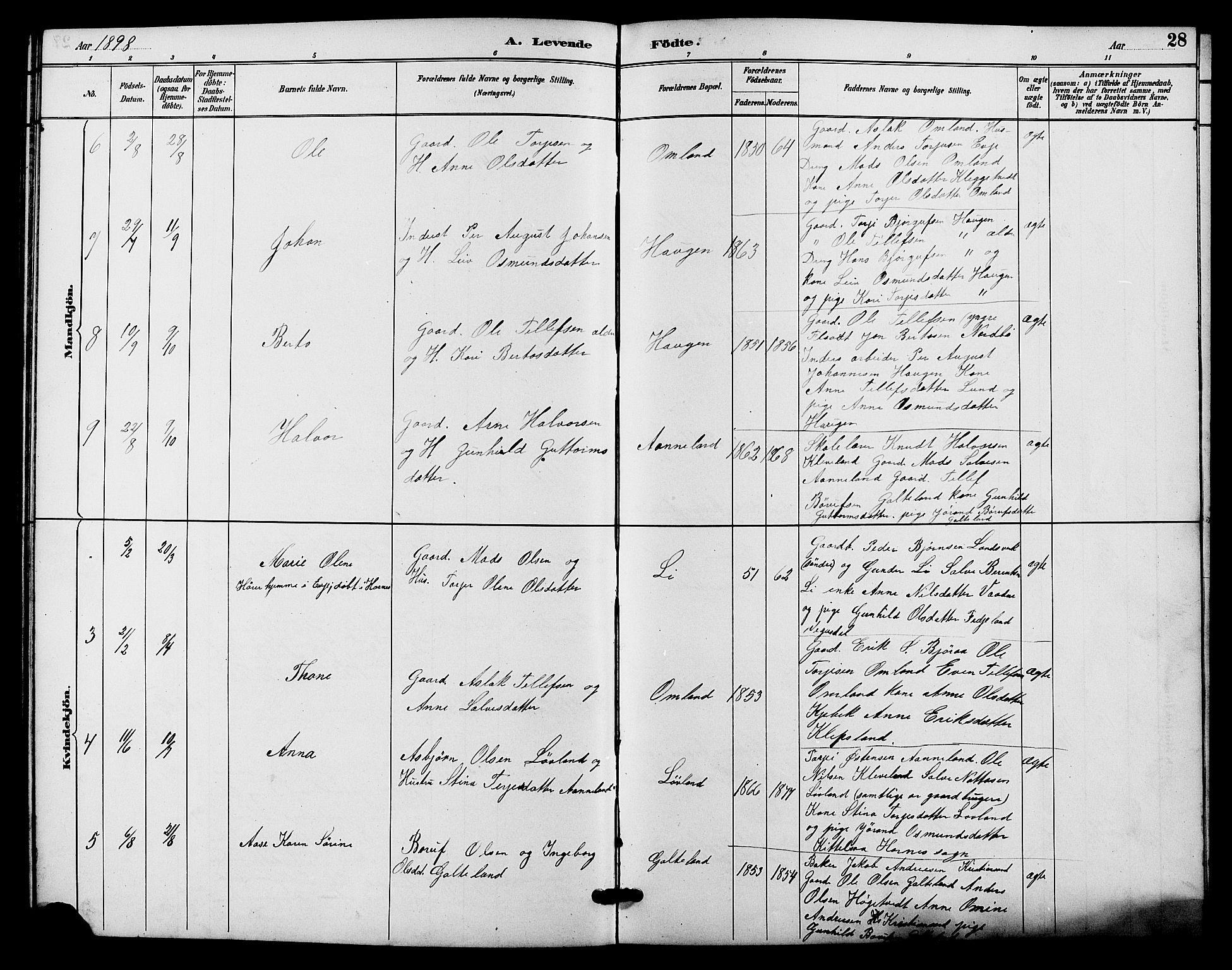 Evje sokneprestkontor, AV/SAK-1111-0008/F/Fb/Fba/L0003: Parish register (copy) no. B 3, 1888-1903, p. 28