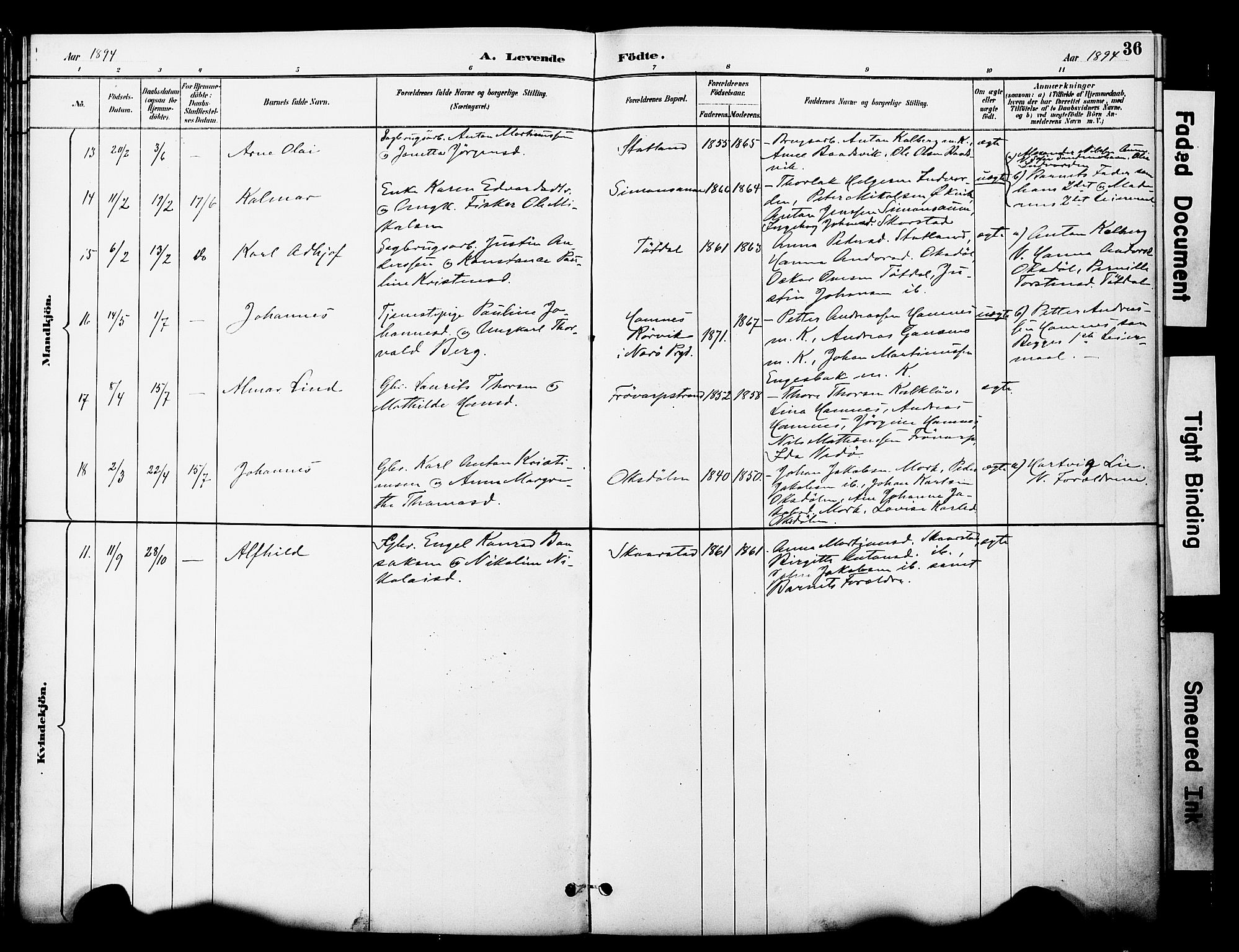 Ministerialprotokoller, klokkerbøker og fødselsregistre - Nord-Trøndelag, AV/SAT-A-1458/774/L0628: Parish register (official) no. 774A02, 1887-1903, p. 36