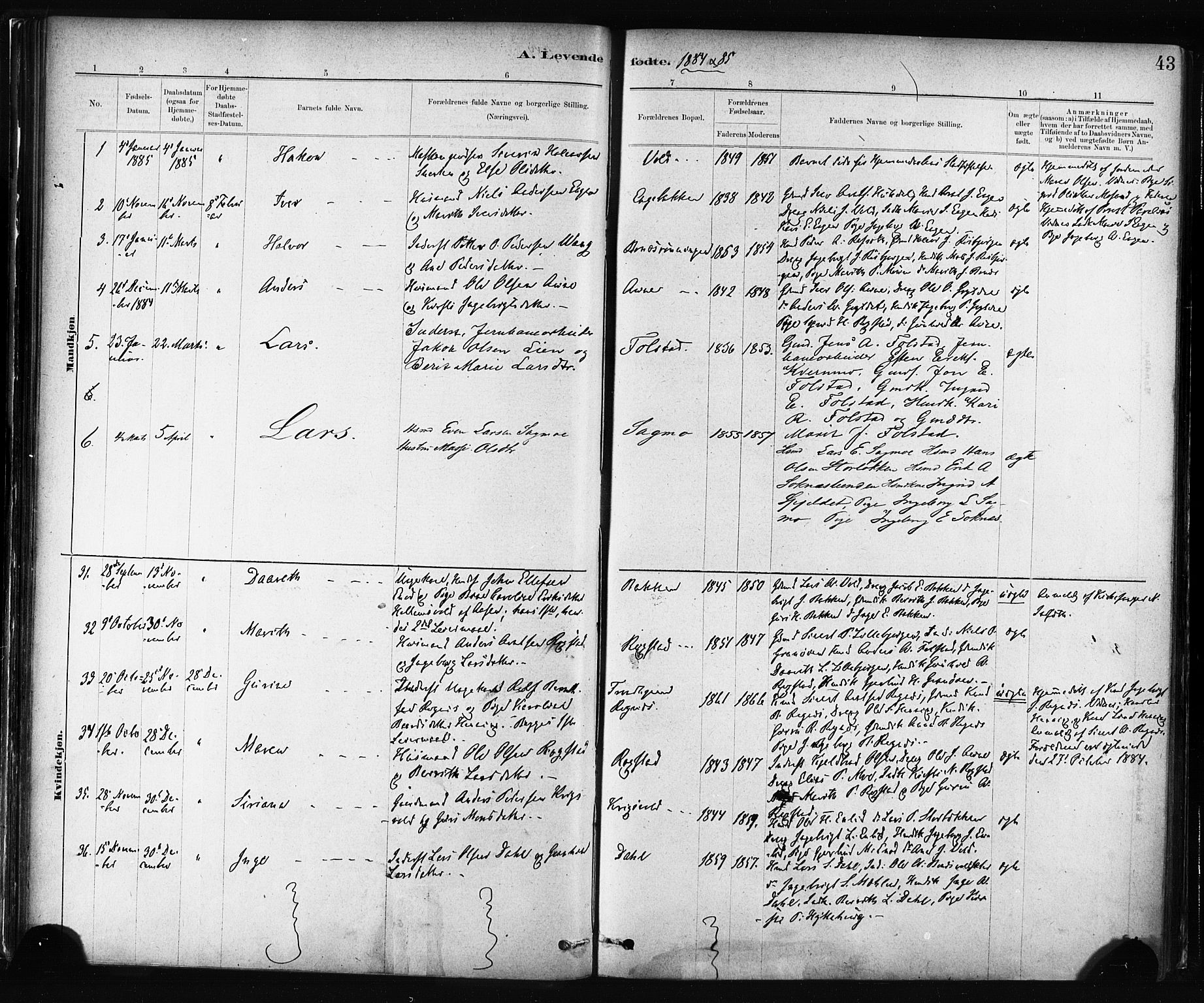 Ministerialprotokoller, klokkerbøker og fødselsregistre - Sør-Trøndelag, SAT/A-1456/687/L1002: Parish register (official) no. 687A08, 1878-1890, p. 43