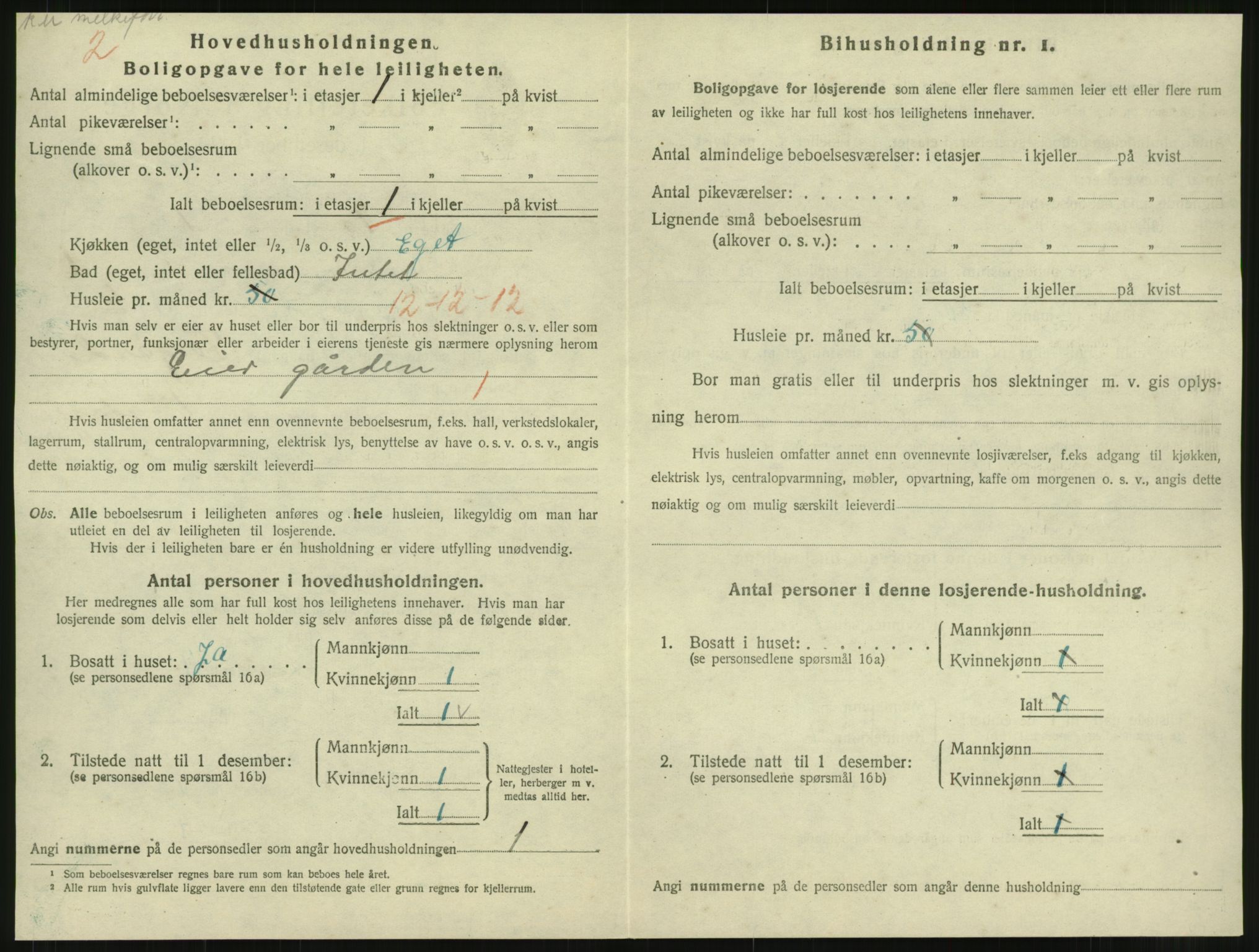 SAT, 1920 census for Namsos, 1920, p. 1800