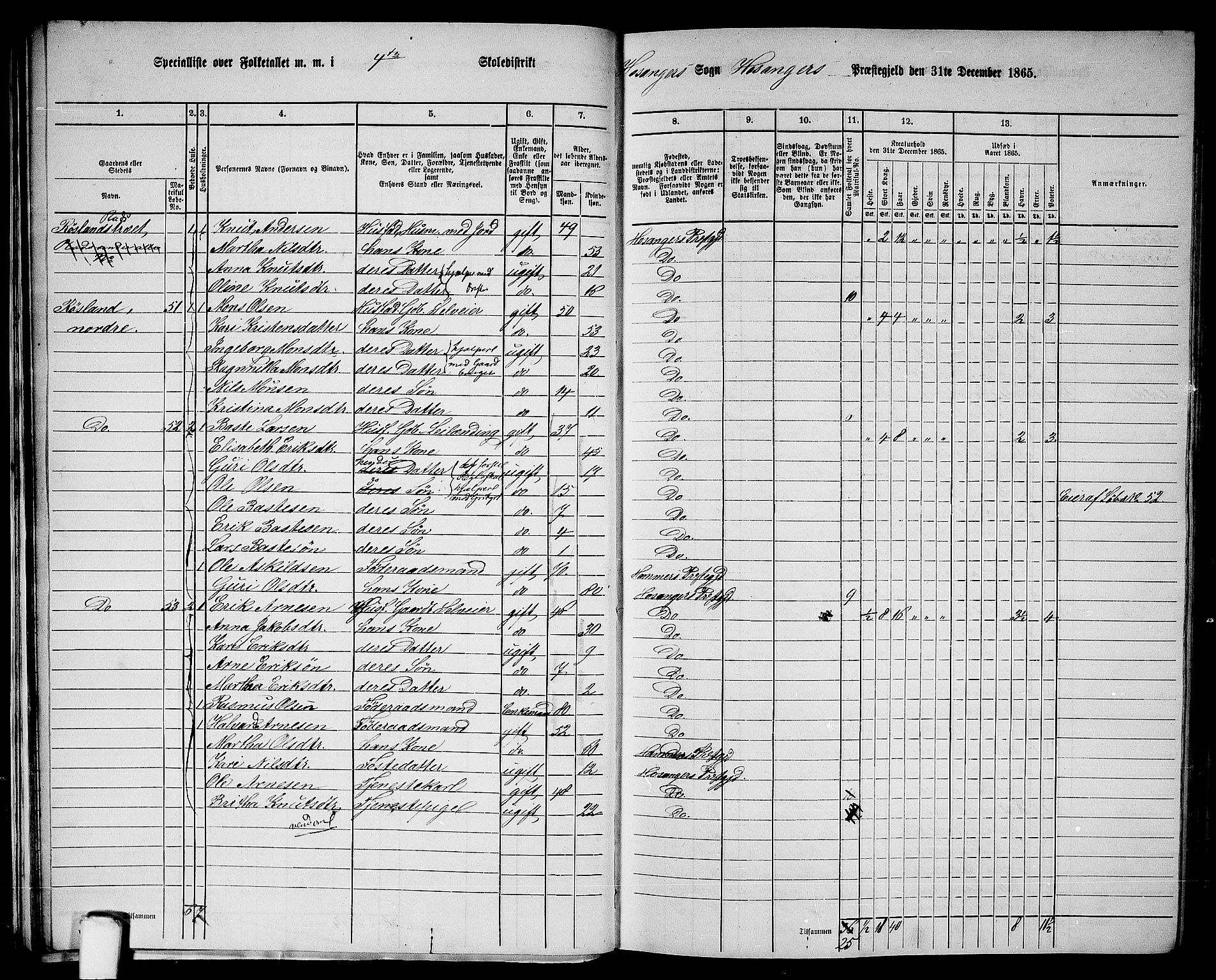 RA, 1865 census for Hosanger, 1865, p. 33