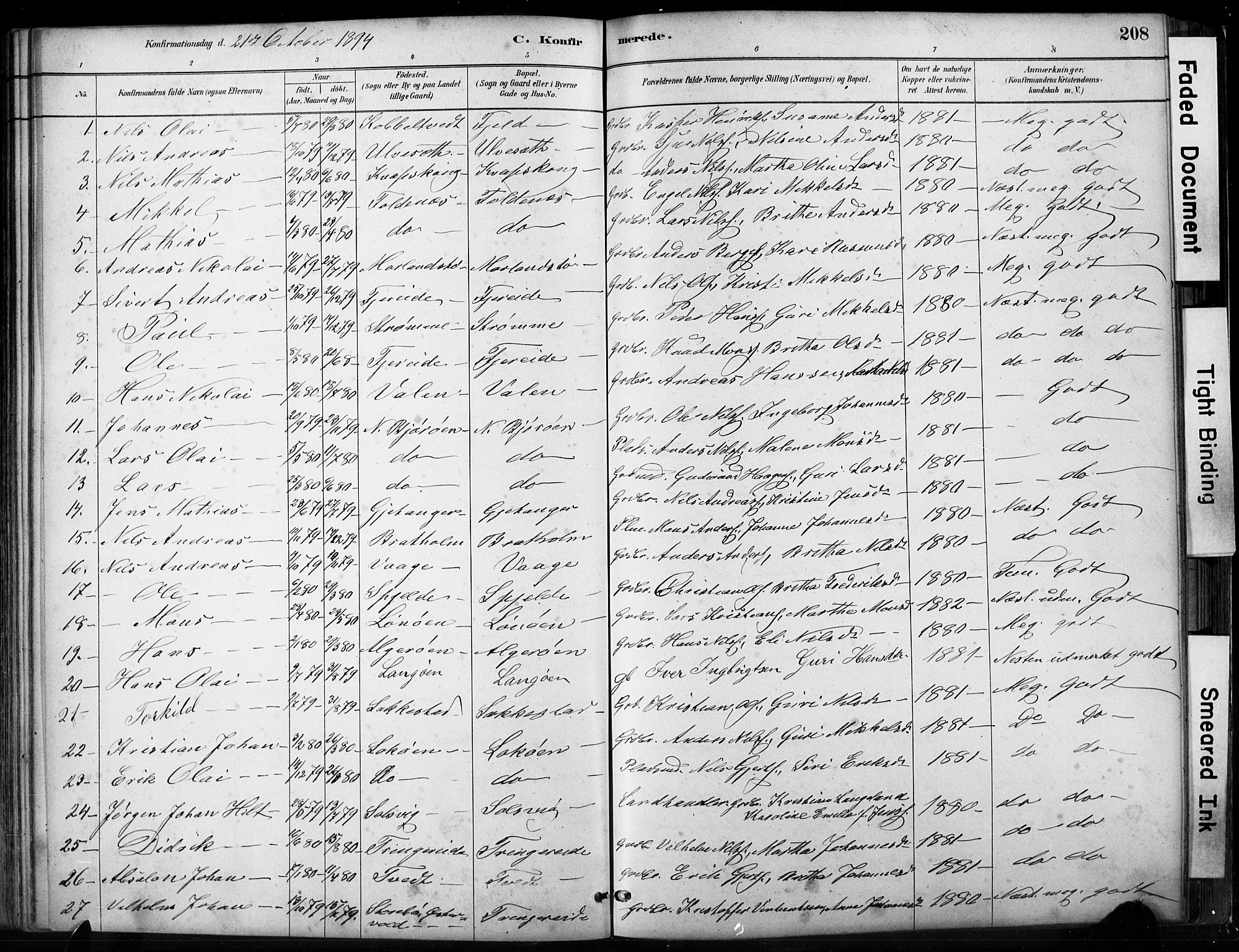 Fjell sokneprestembete, SAB/A-75301/H/Hab: Parish register (copy) no. A 4, 1880-1899, p. 208