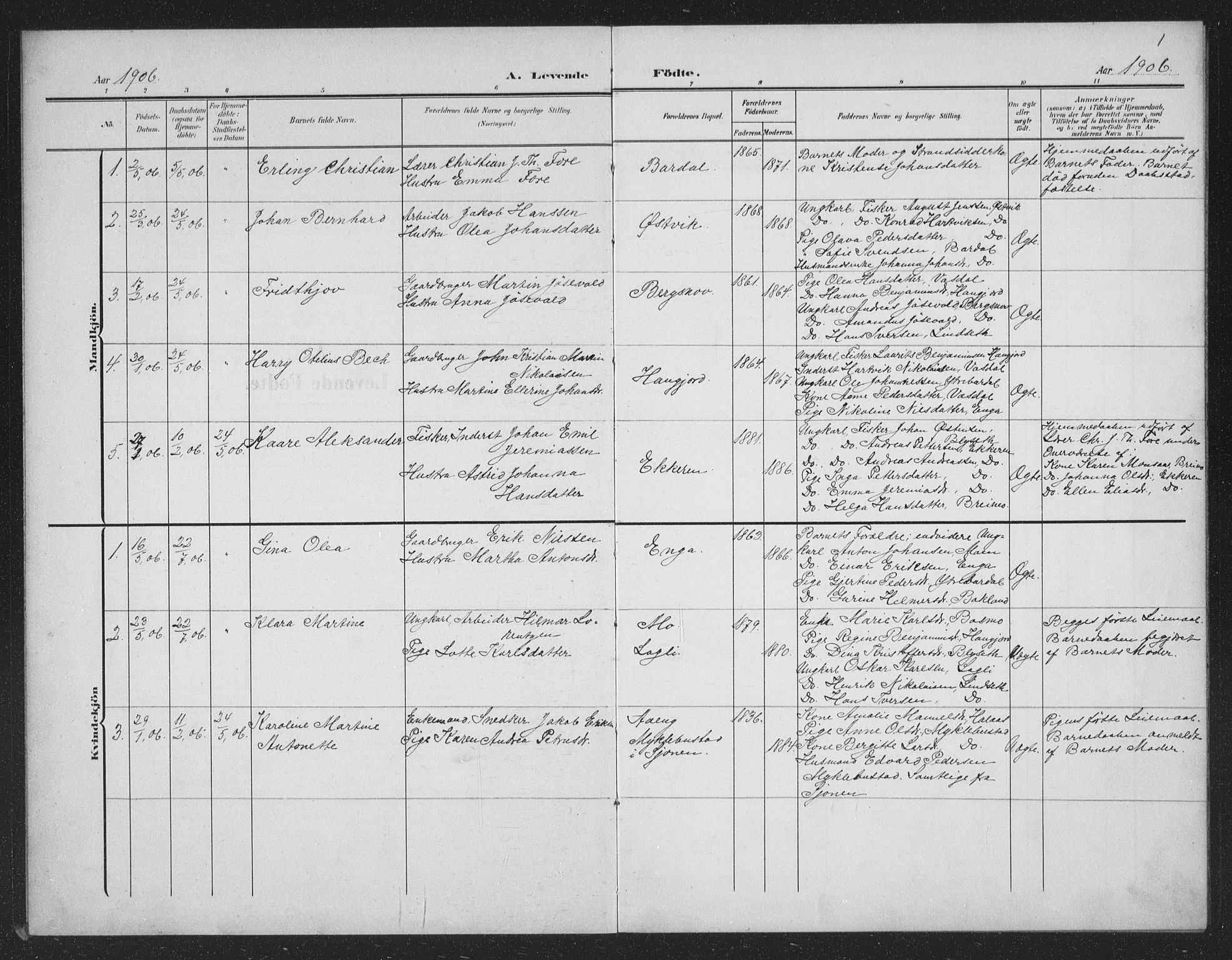 Ministerialprotokoller, klokkerbøker og fødselsregistre - Nordland, AV/SAT-A-1459/833/L0502: Parish register (copy) no. 833C01, 1906-1934, p. 1