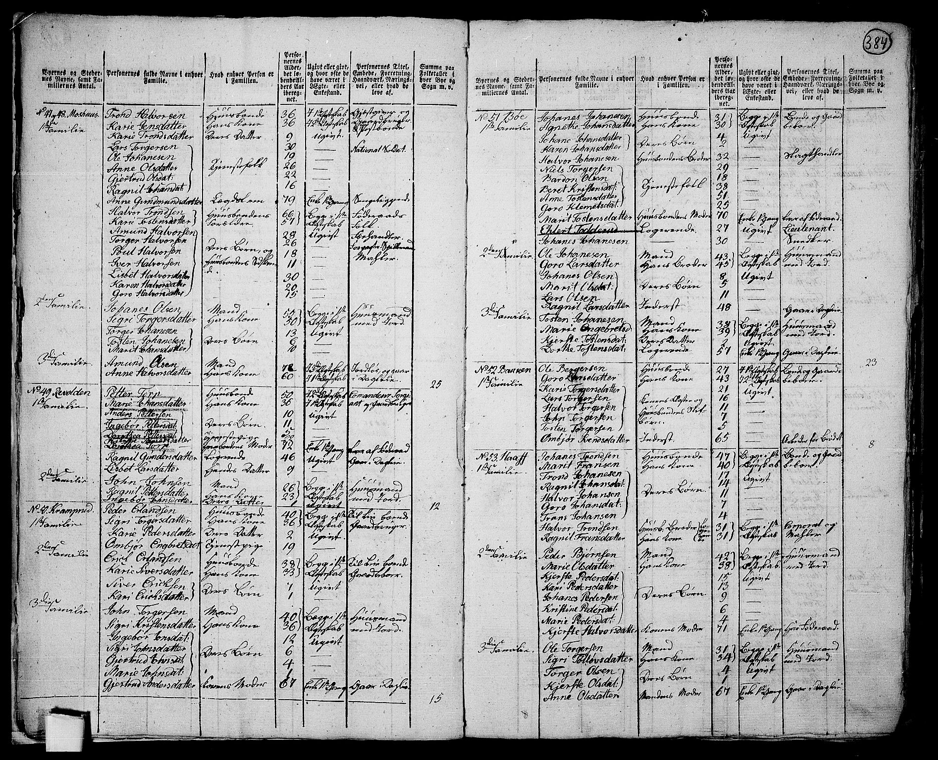 RA, 1801 census for 0521P Øyer, 1801, p. 383b-384a