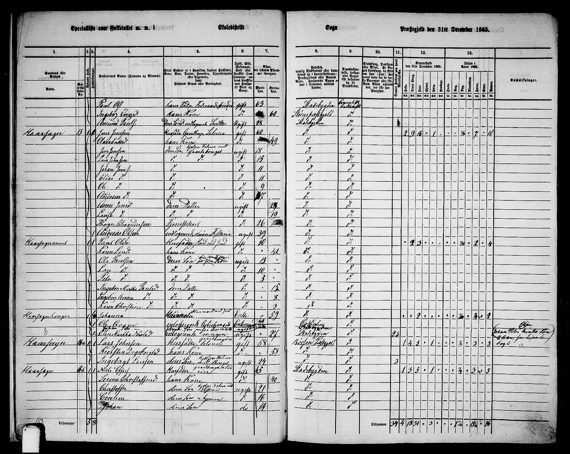 RA, 1865 census for Stadsbygd, 1865, p. 14