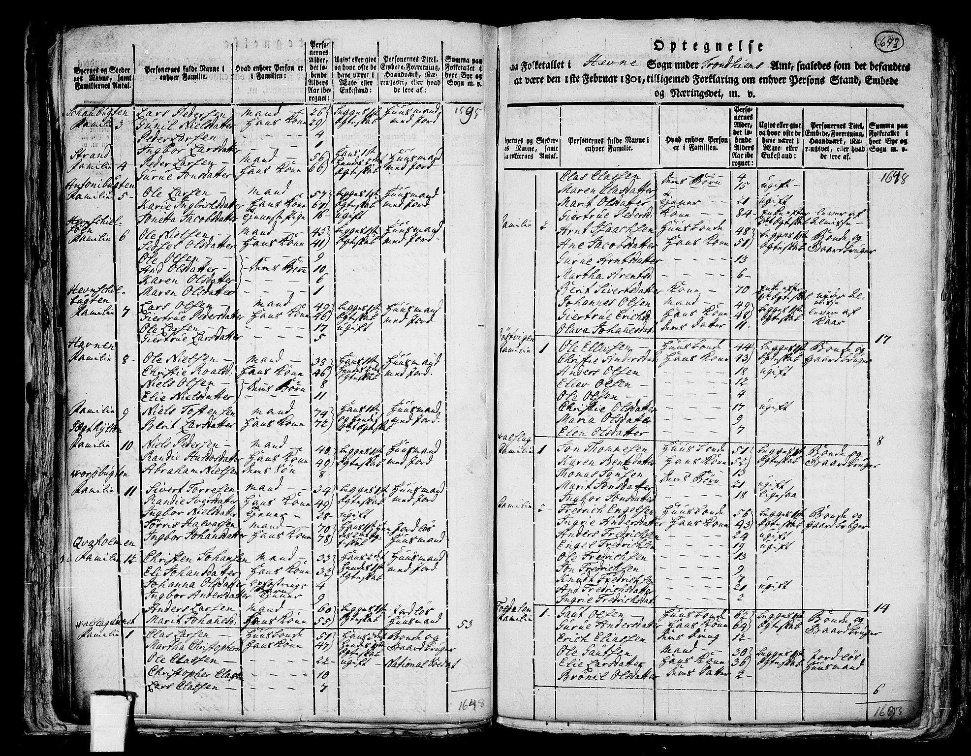 RA, 1801 census for 1612P Hemne, 1801, p. 642b-643a