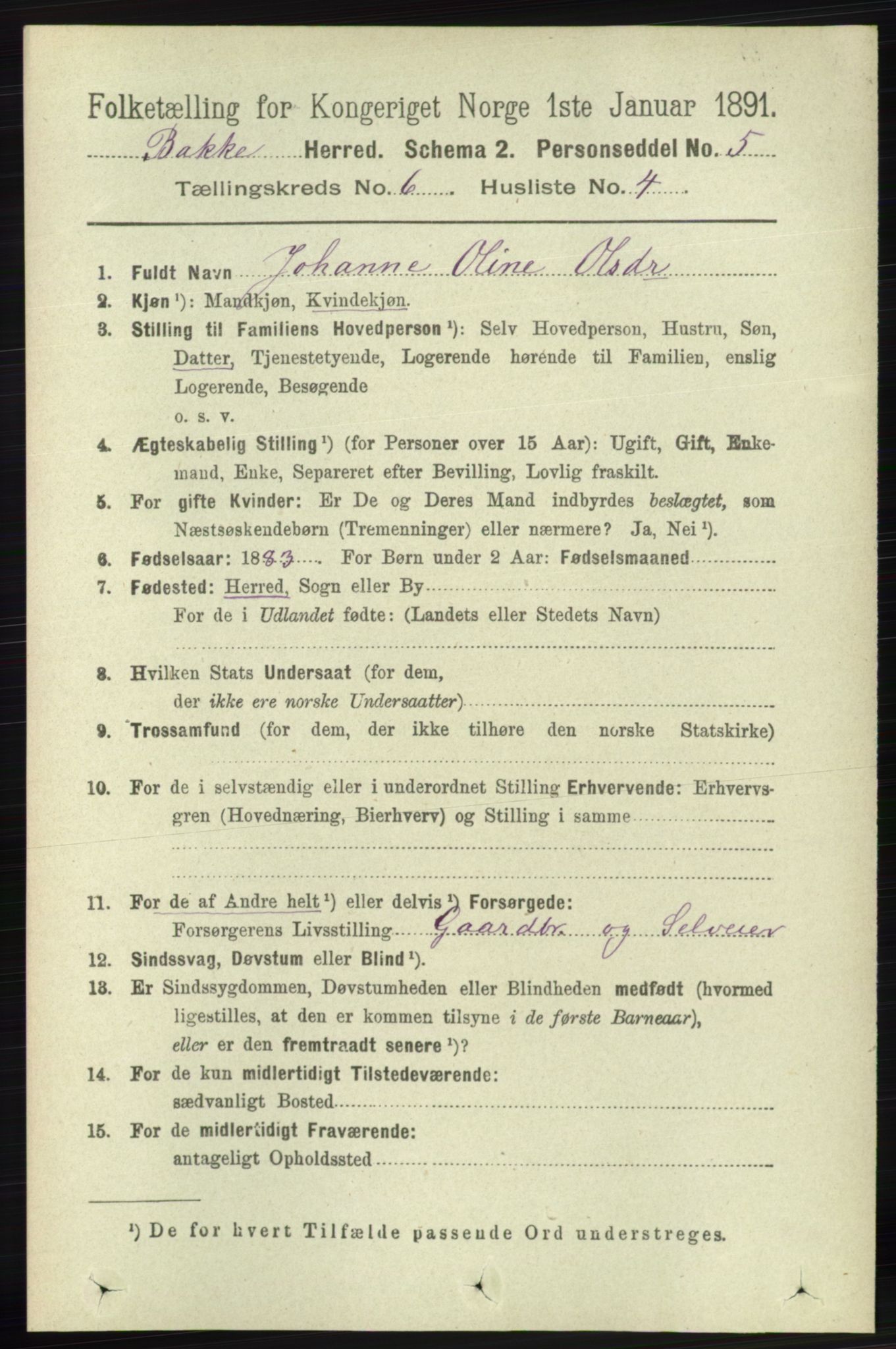 RA, 1891 census for 1045 Bakke, 1891, p. 1194