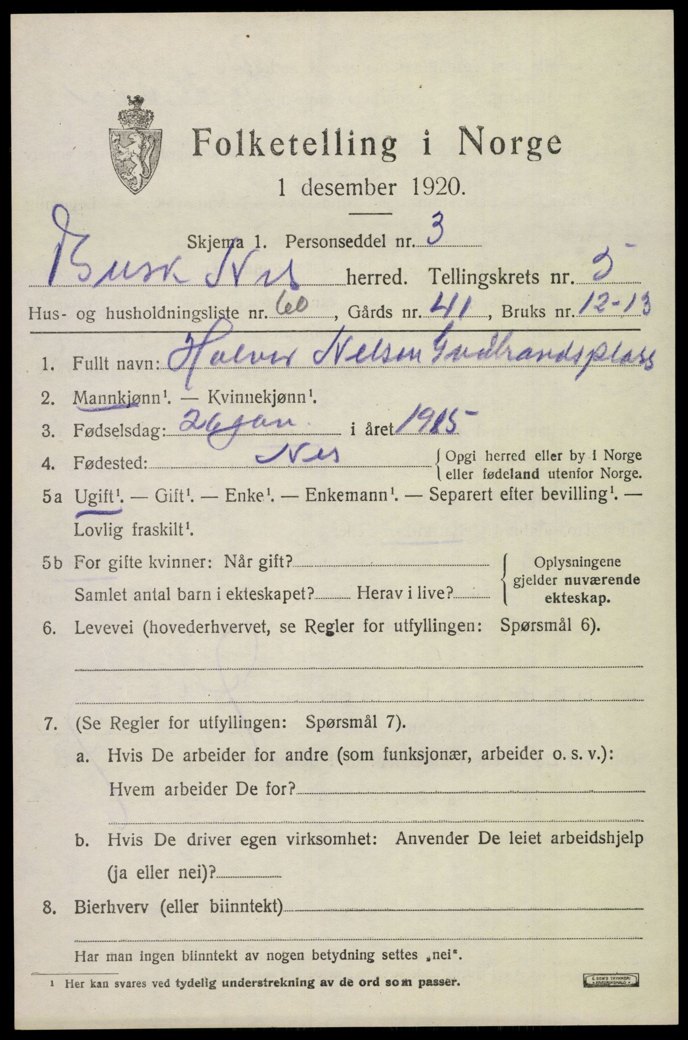 SAKO, 1920 census for Nes (Buskerud), 1920, p. 3048